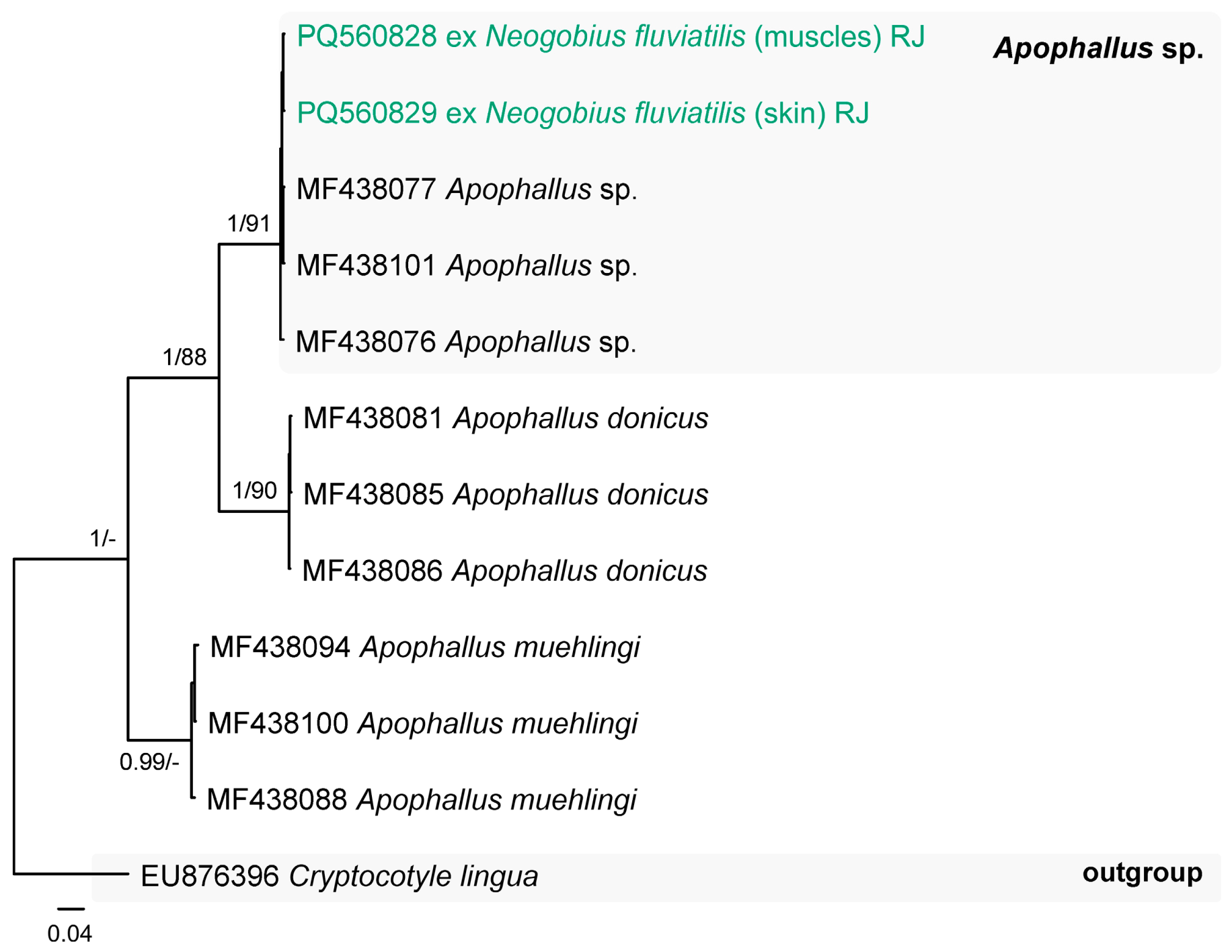 Animals 14 03293 g008