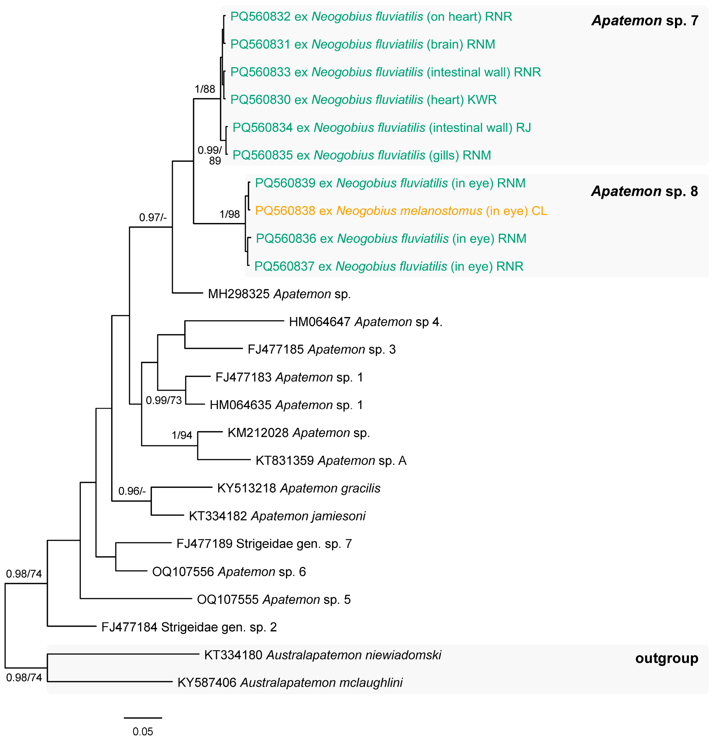 Animals 14 03293 g010