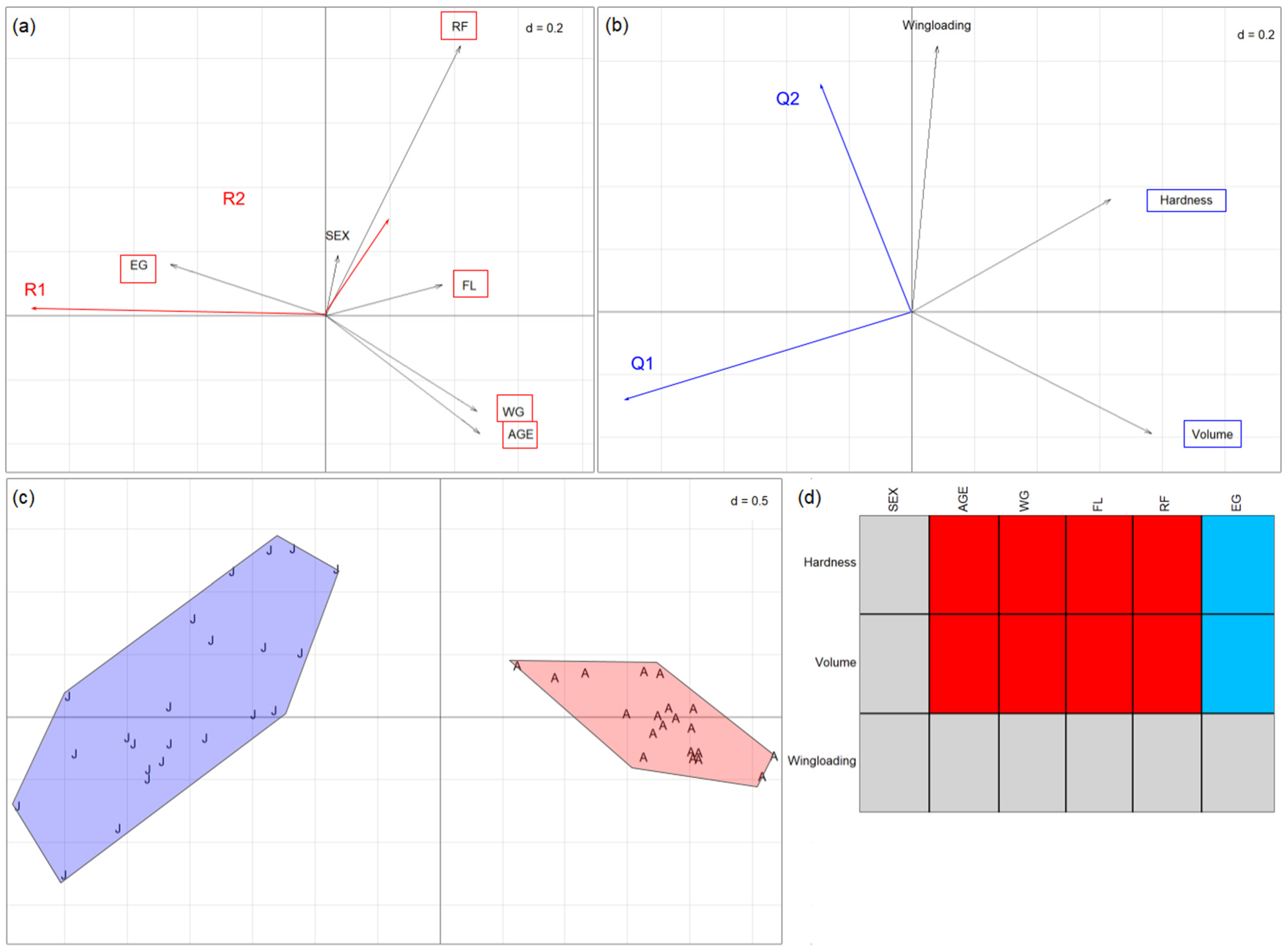 Animals 14 03303 g003