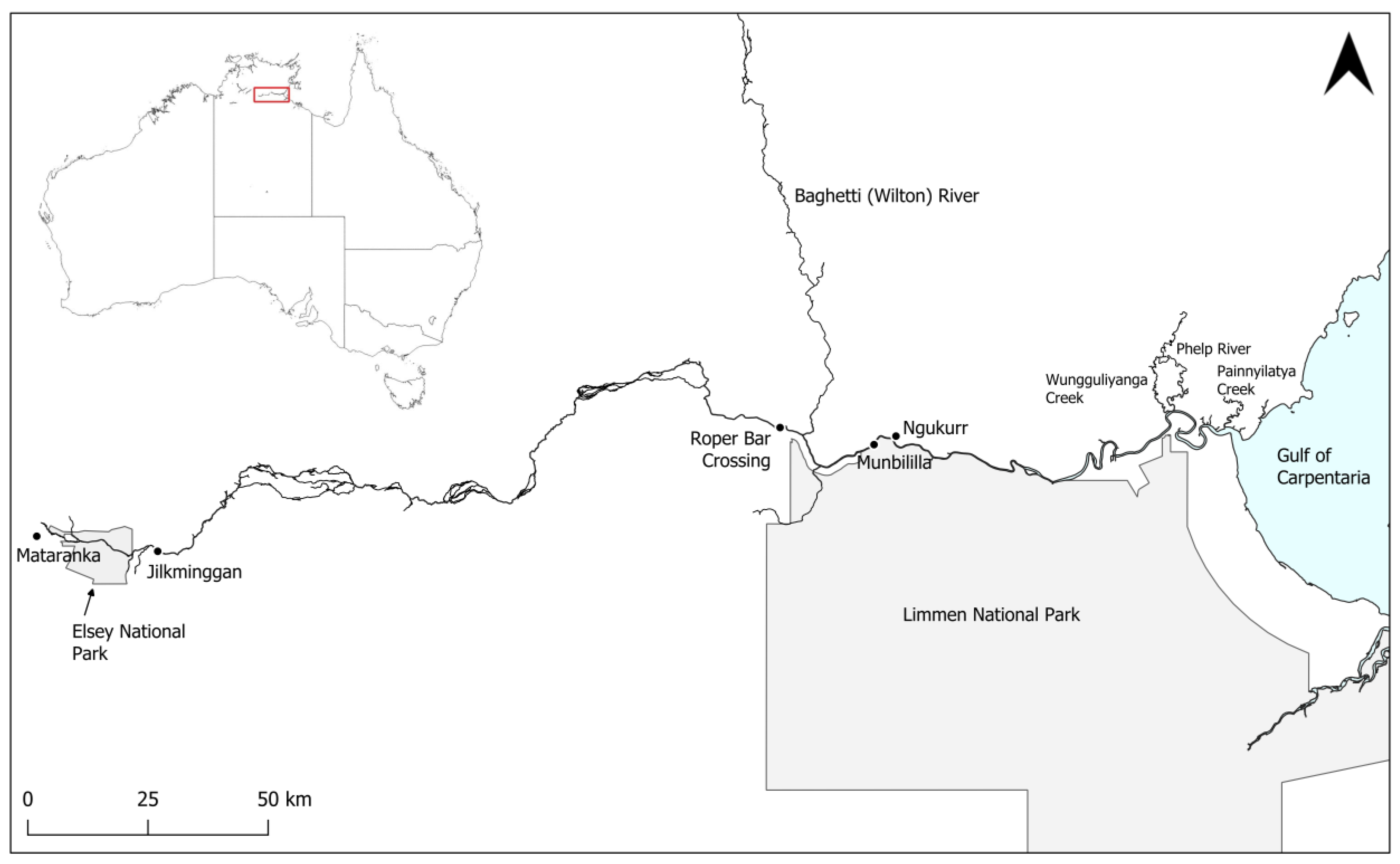 Animals 14 03306 g001