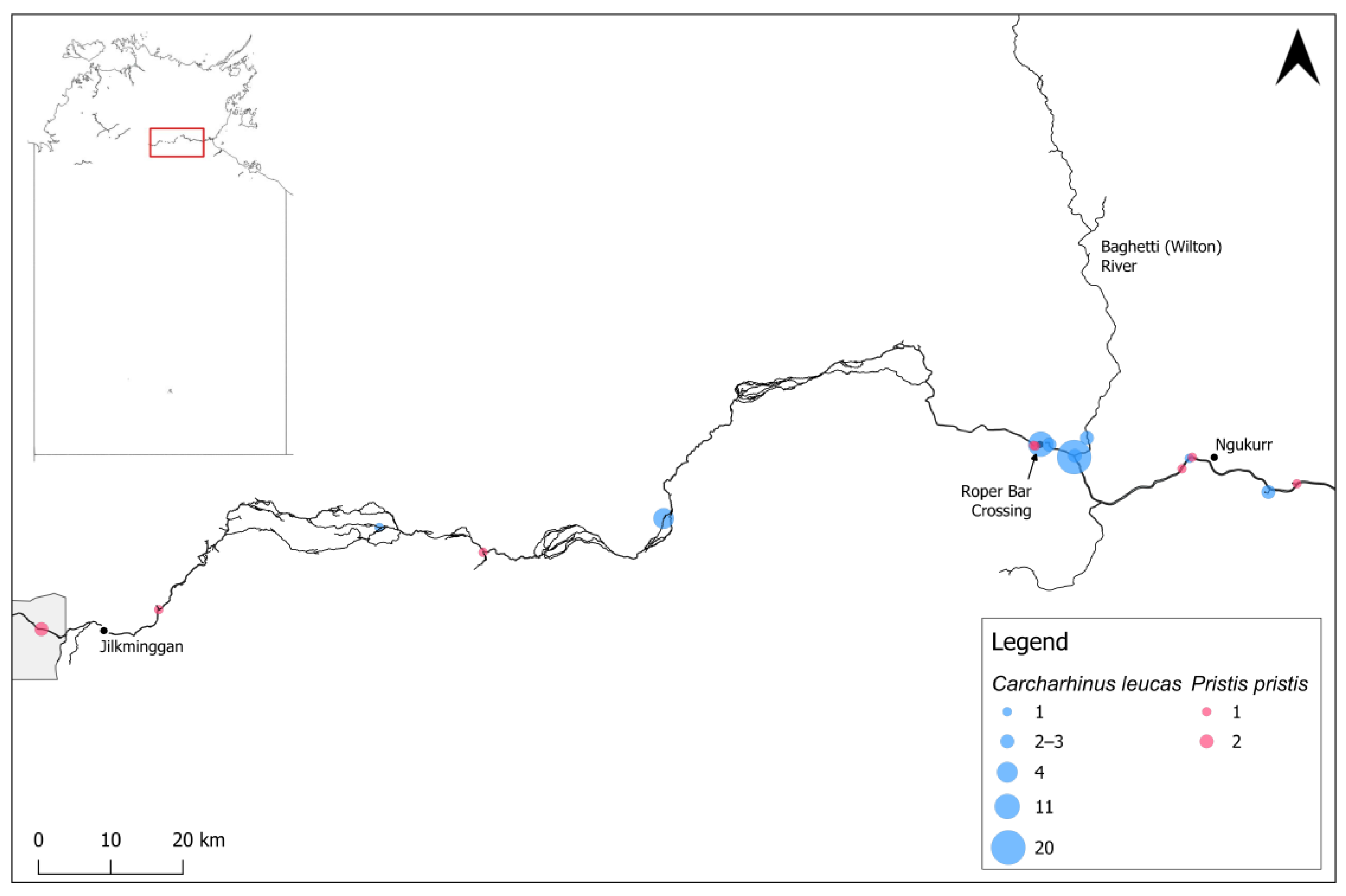 Animals 14 03306 g003