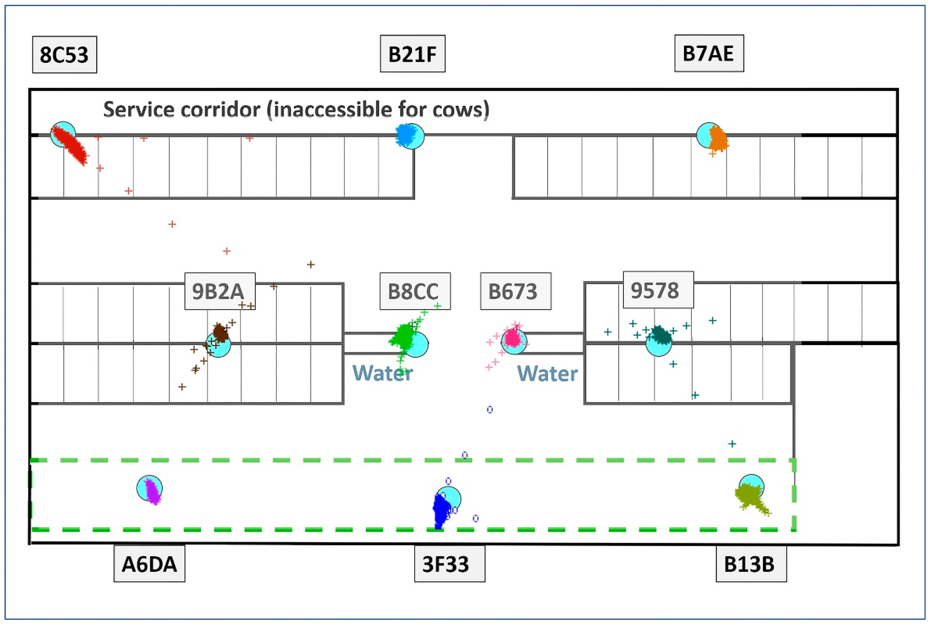 Animals 14 03307 g003