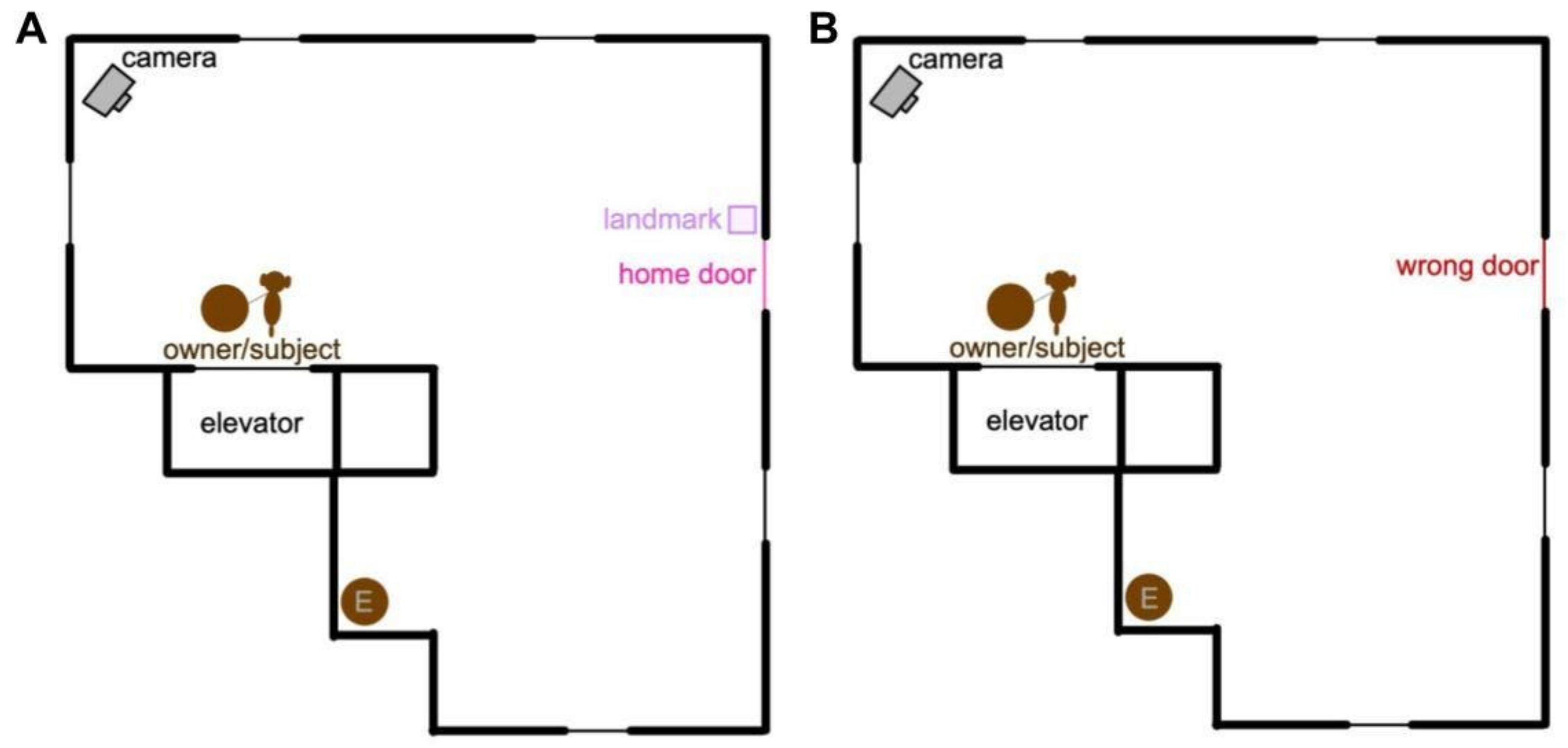 Animals 14 03316 g001