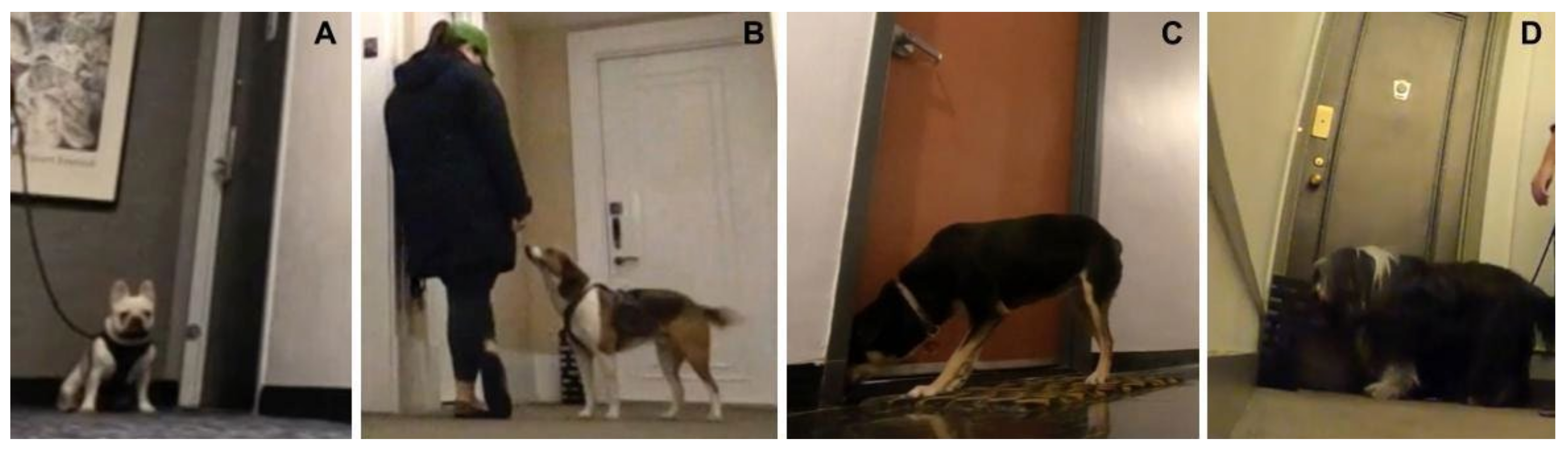 Animals 14 03316 g002