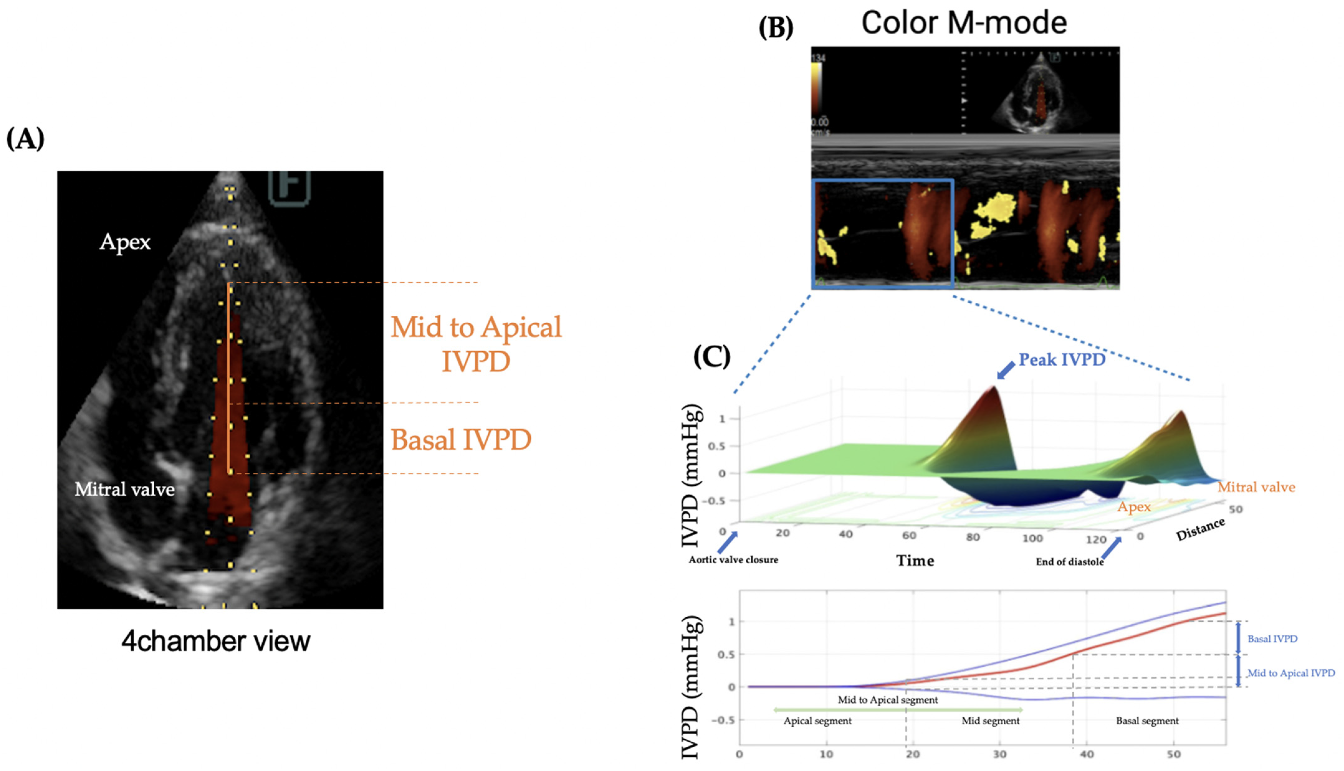 Animals 14 03320 g001