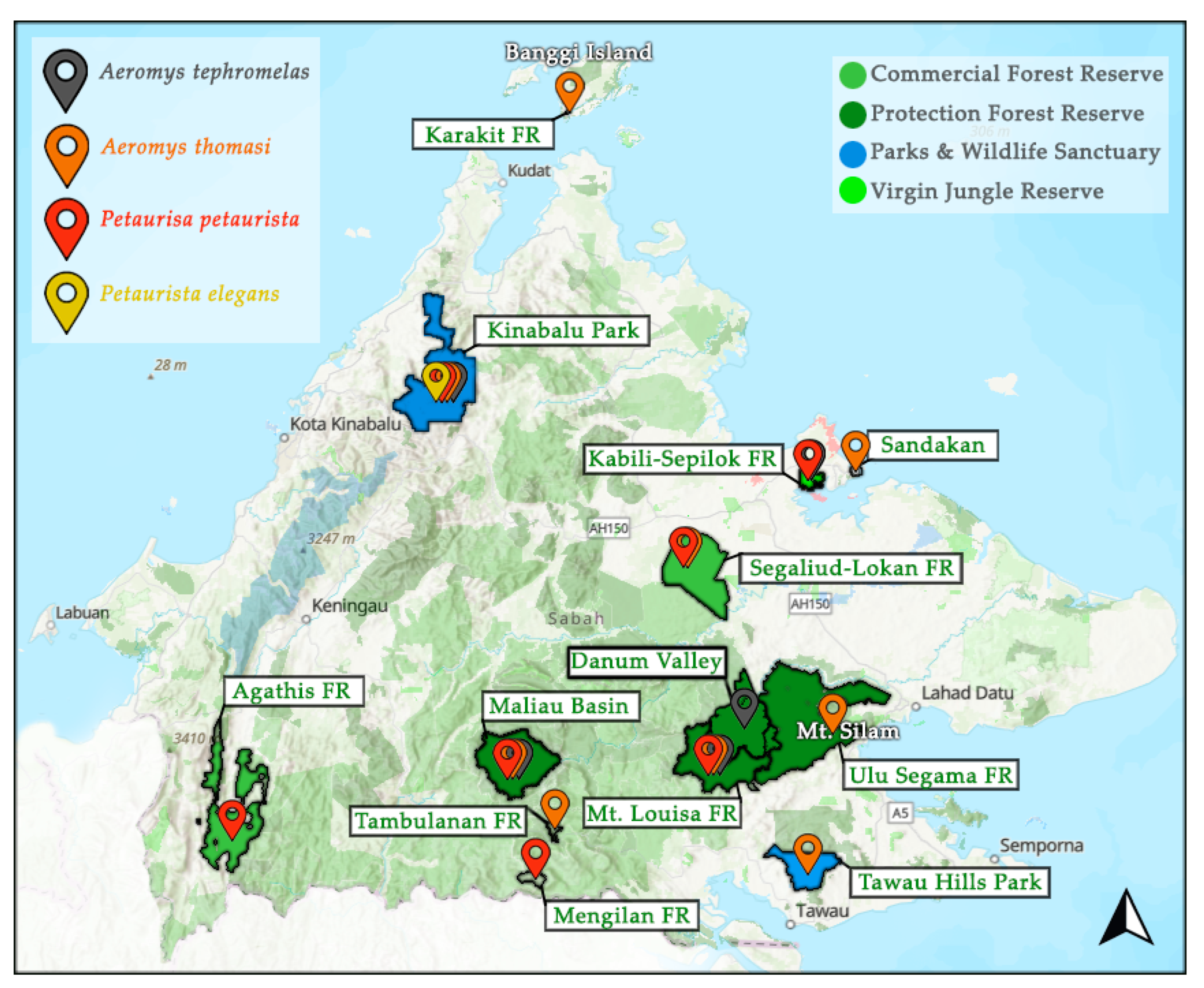 Animals 14 03323 g001