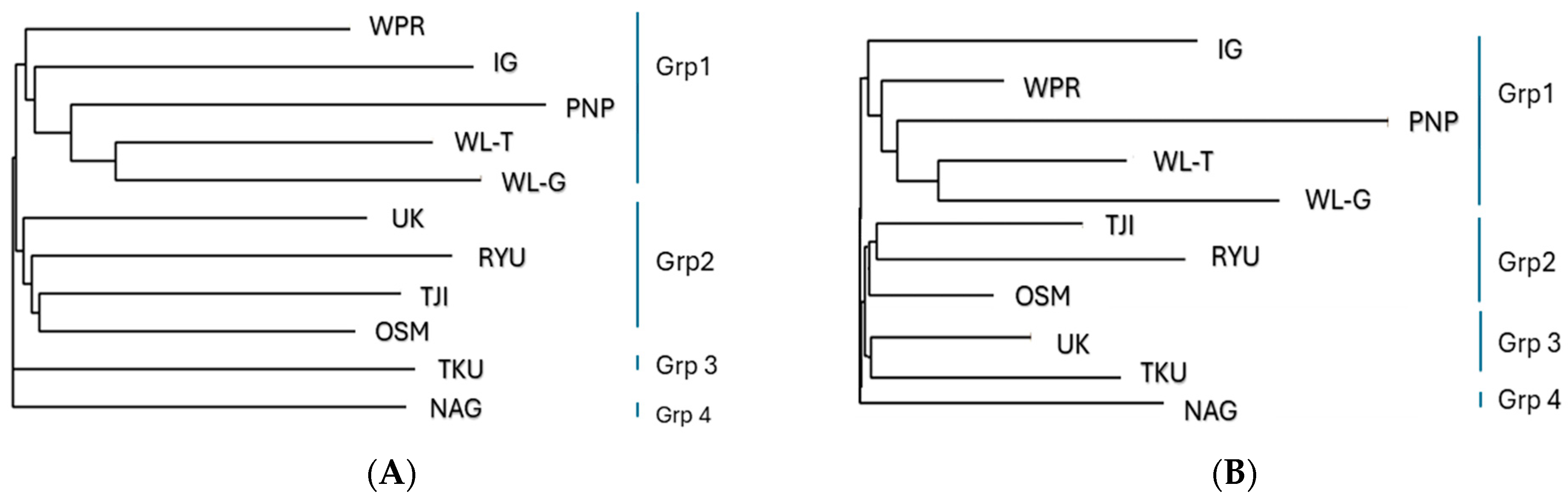 Animals 14 03341 g003 Animals 14 03341 g003