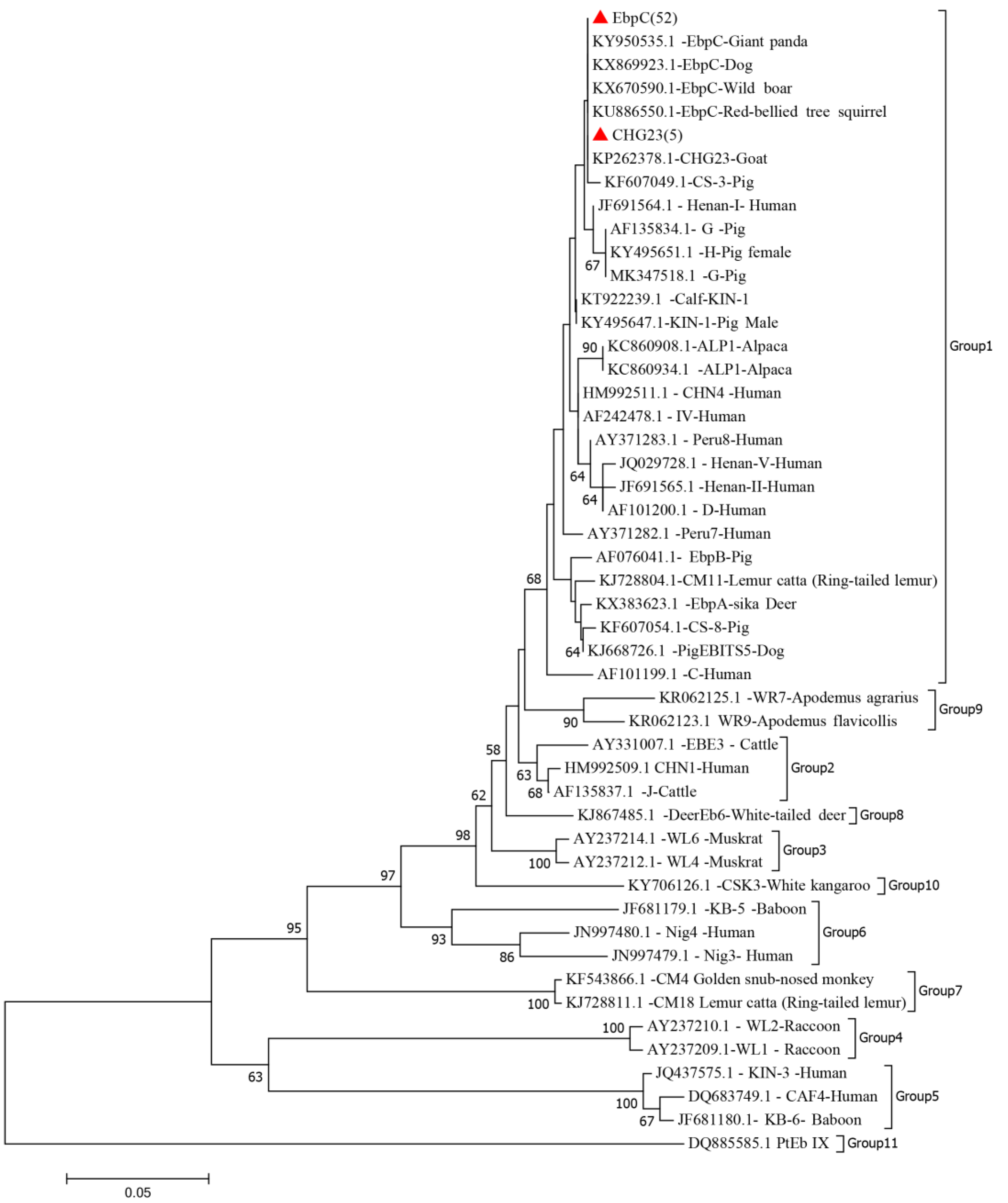 Animals 14 03344 g003