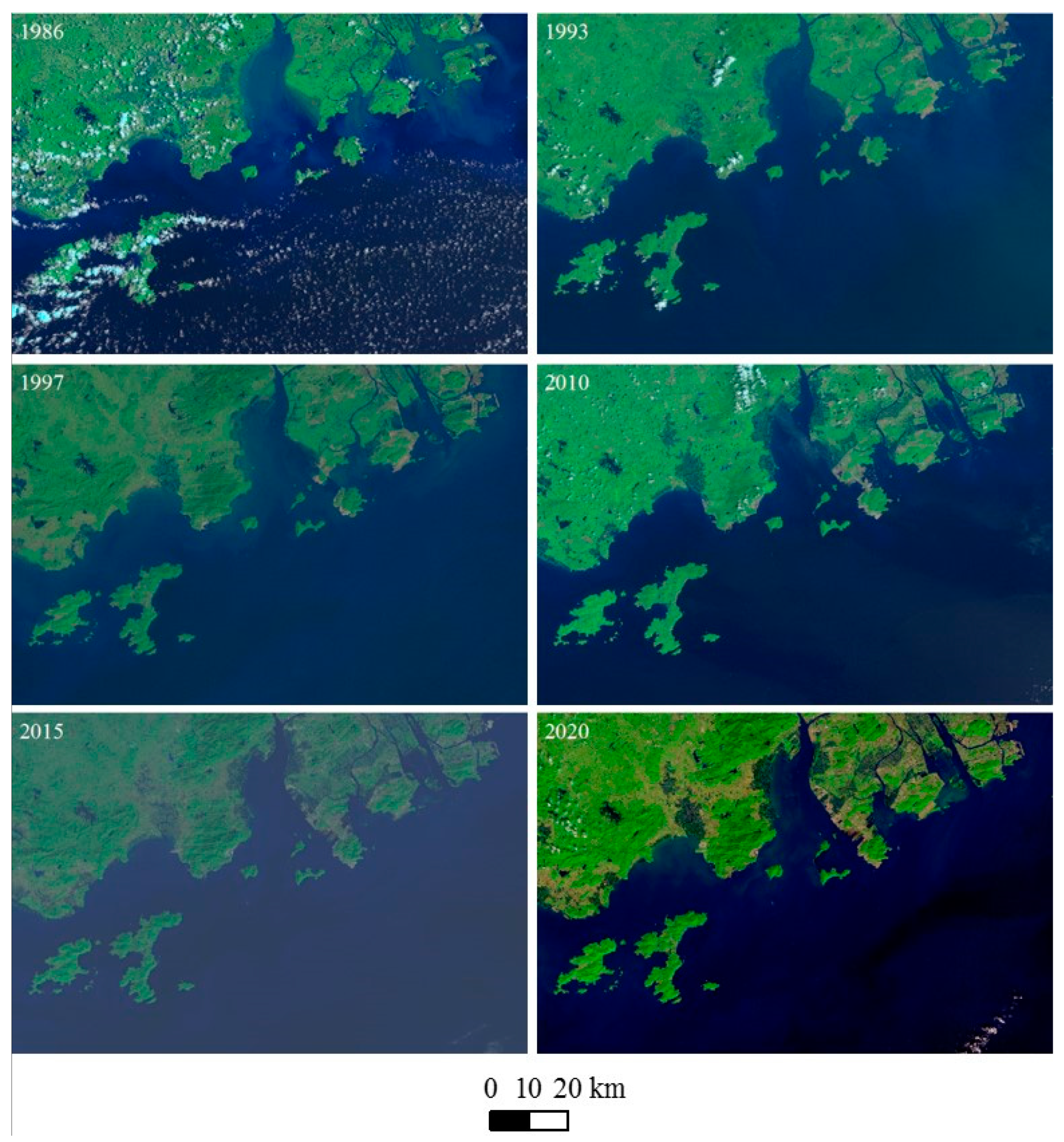 Animals 14 03381 g002