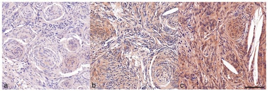 Animals 14 03404 g003