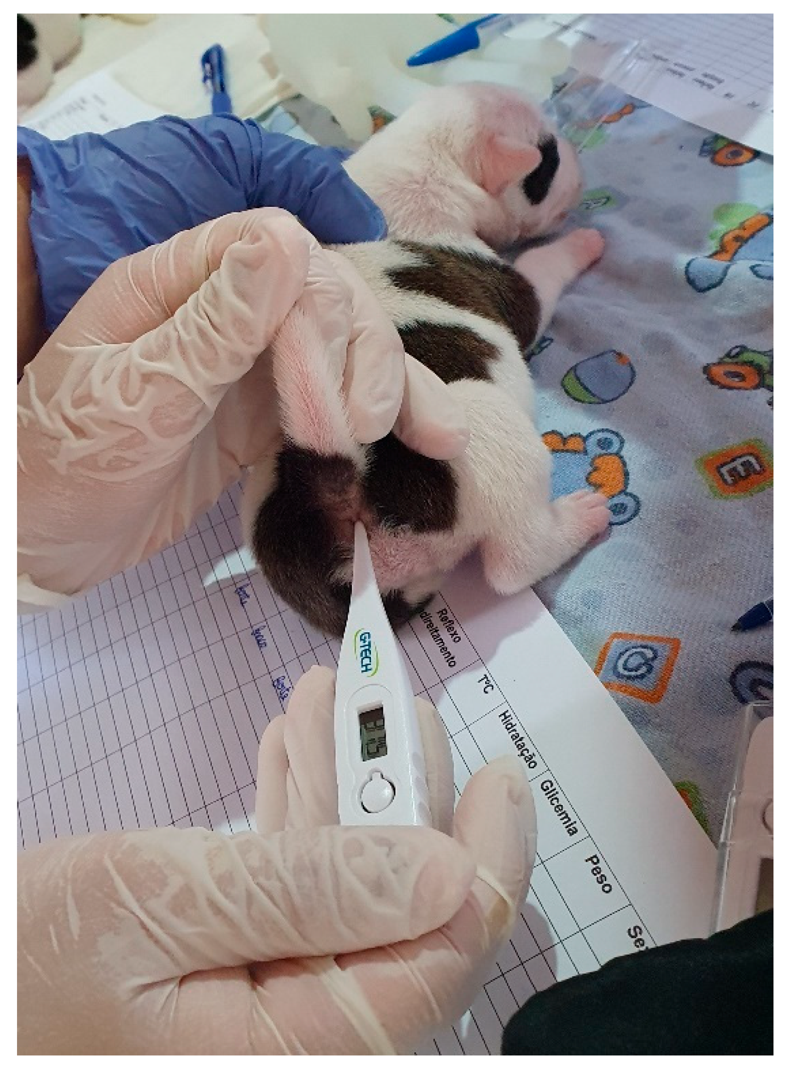 Animals 14 03417 g006