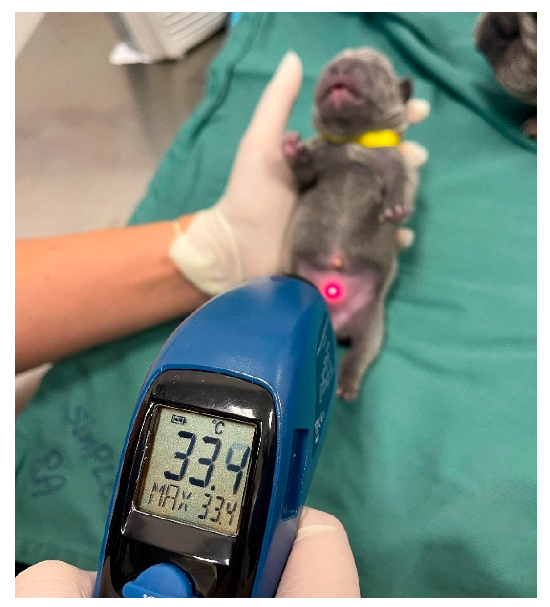 Animals 14 03417 g007