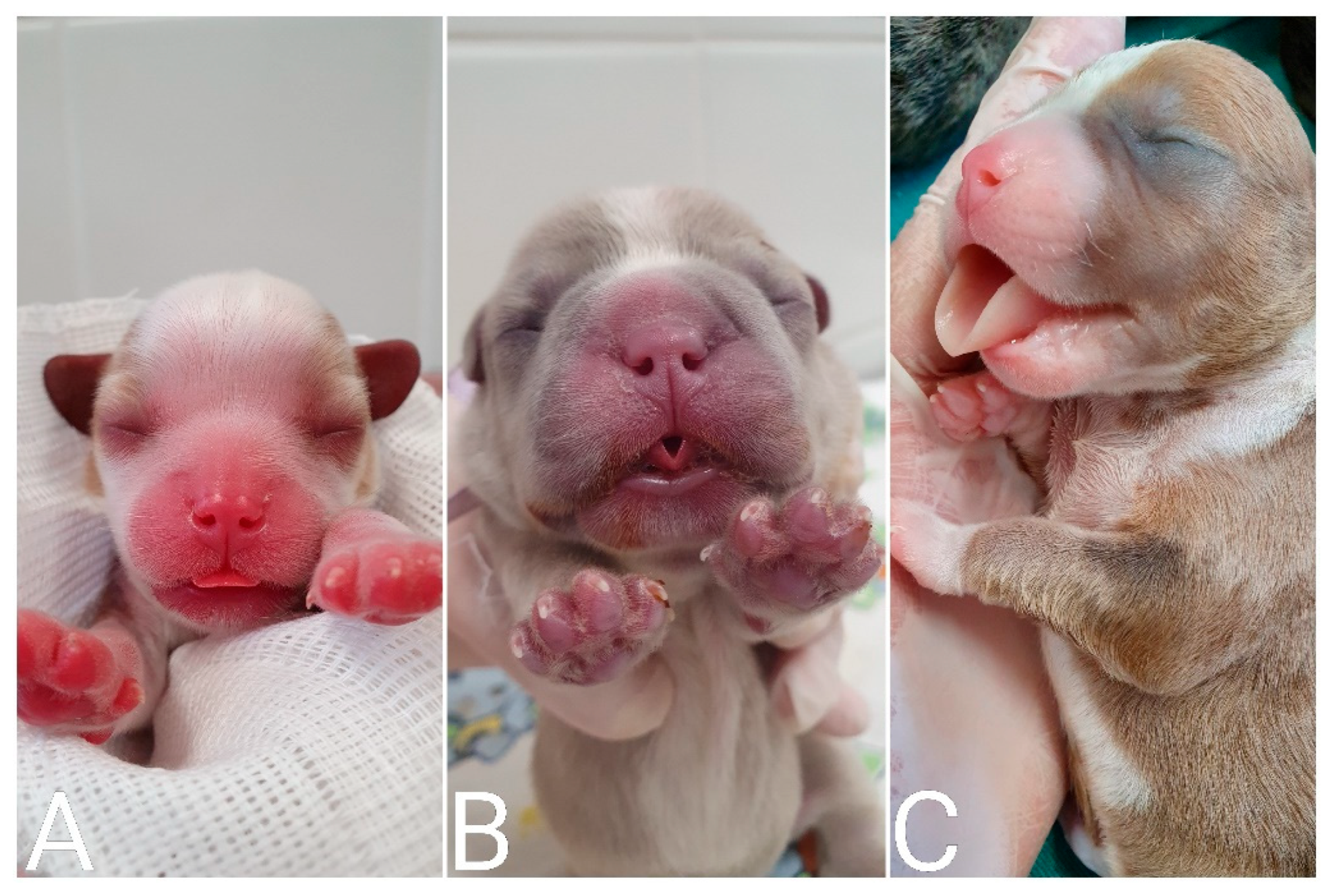 Animals 14 03417 g018