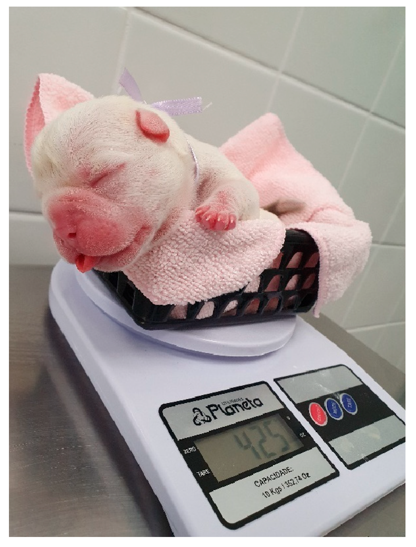 Animals 14 03417 g032