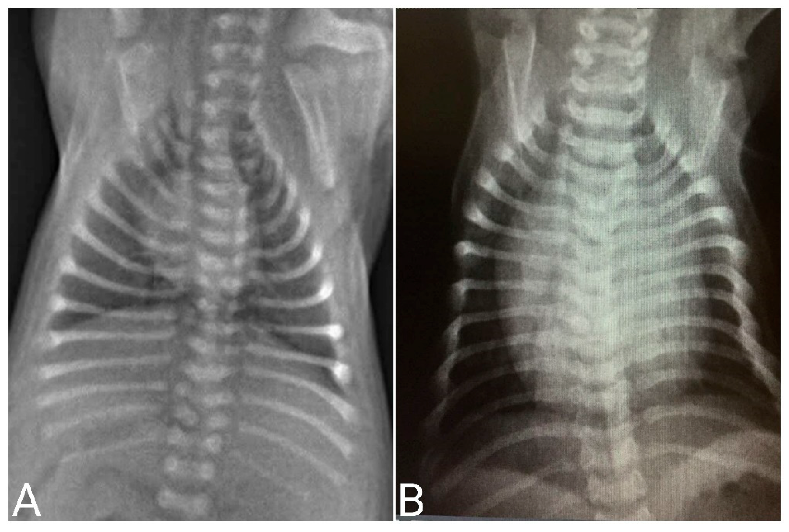 Animals 14 03417 g034