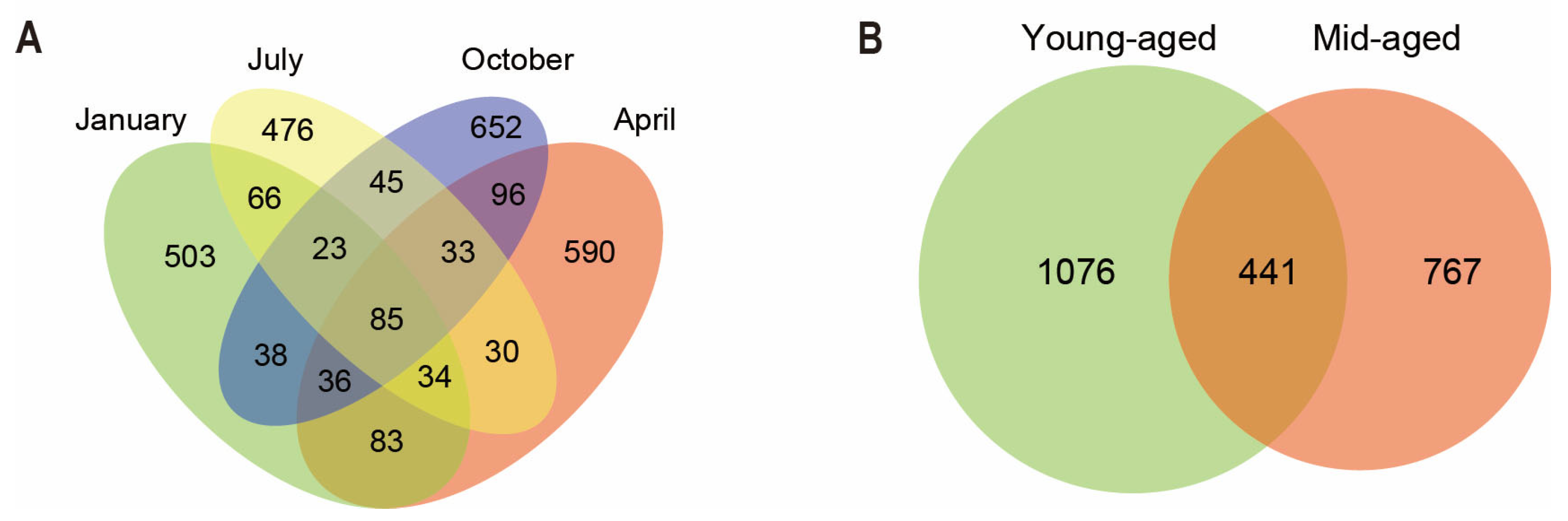 Animals 14 03418 g001