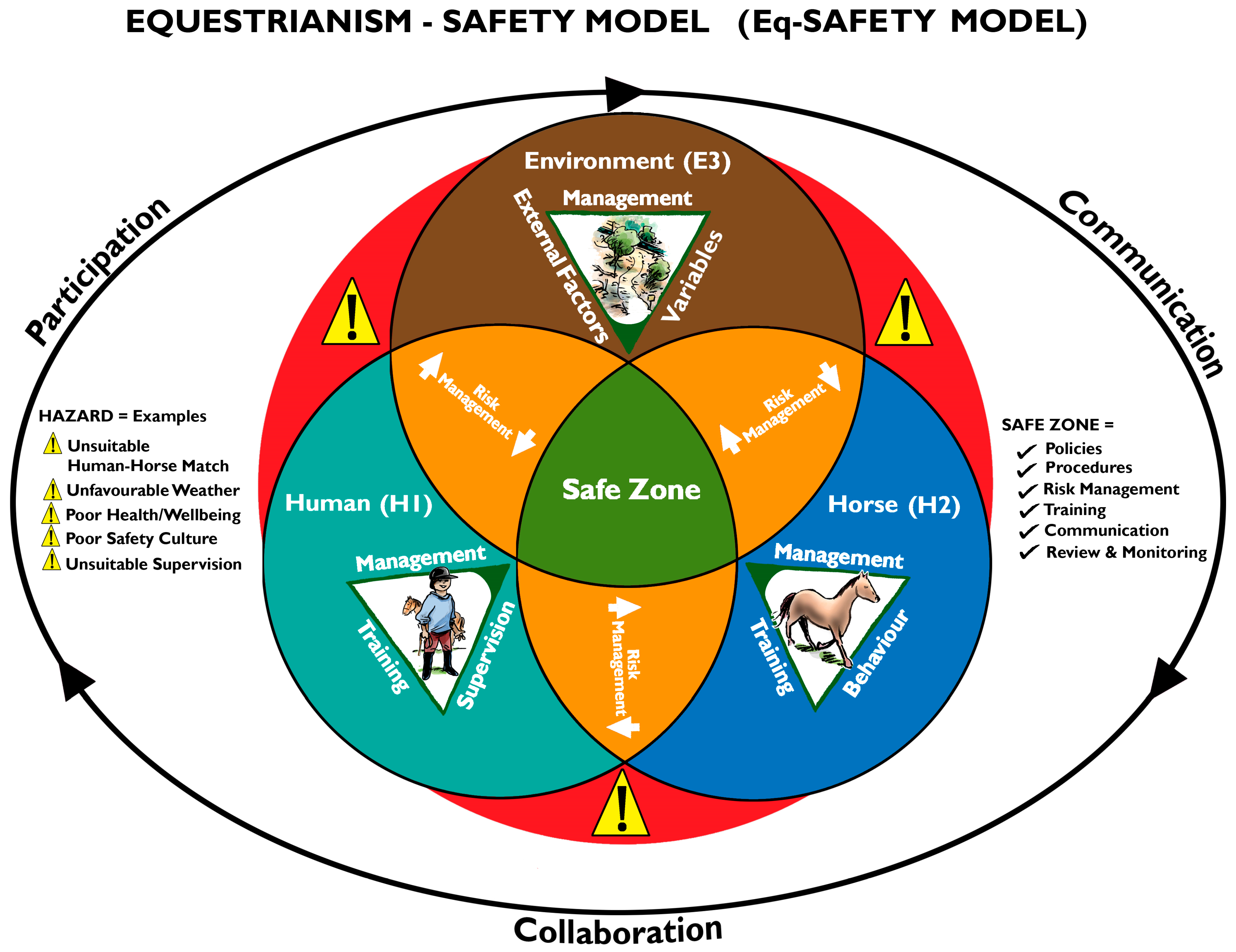 Animals 14 03450 g001