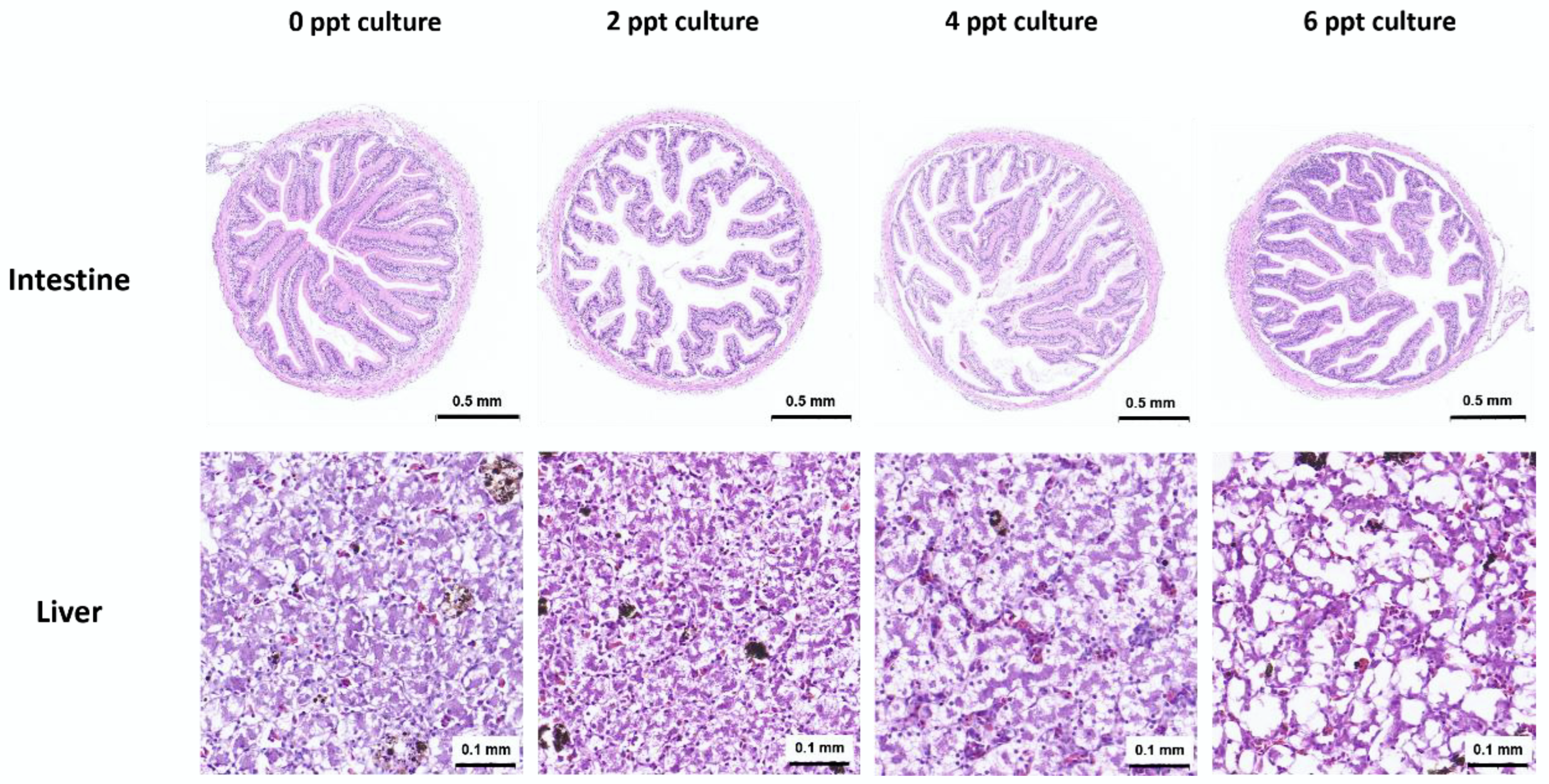 Animals 14 03454 g001