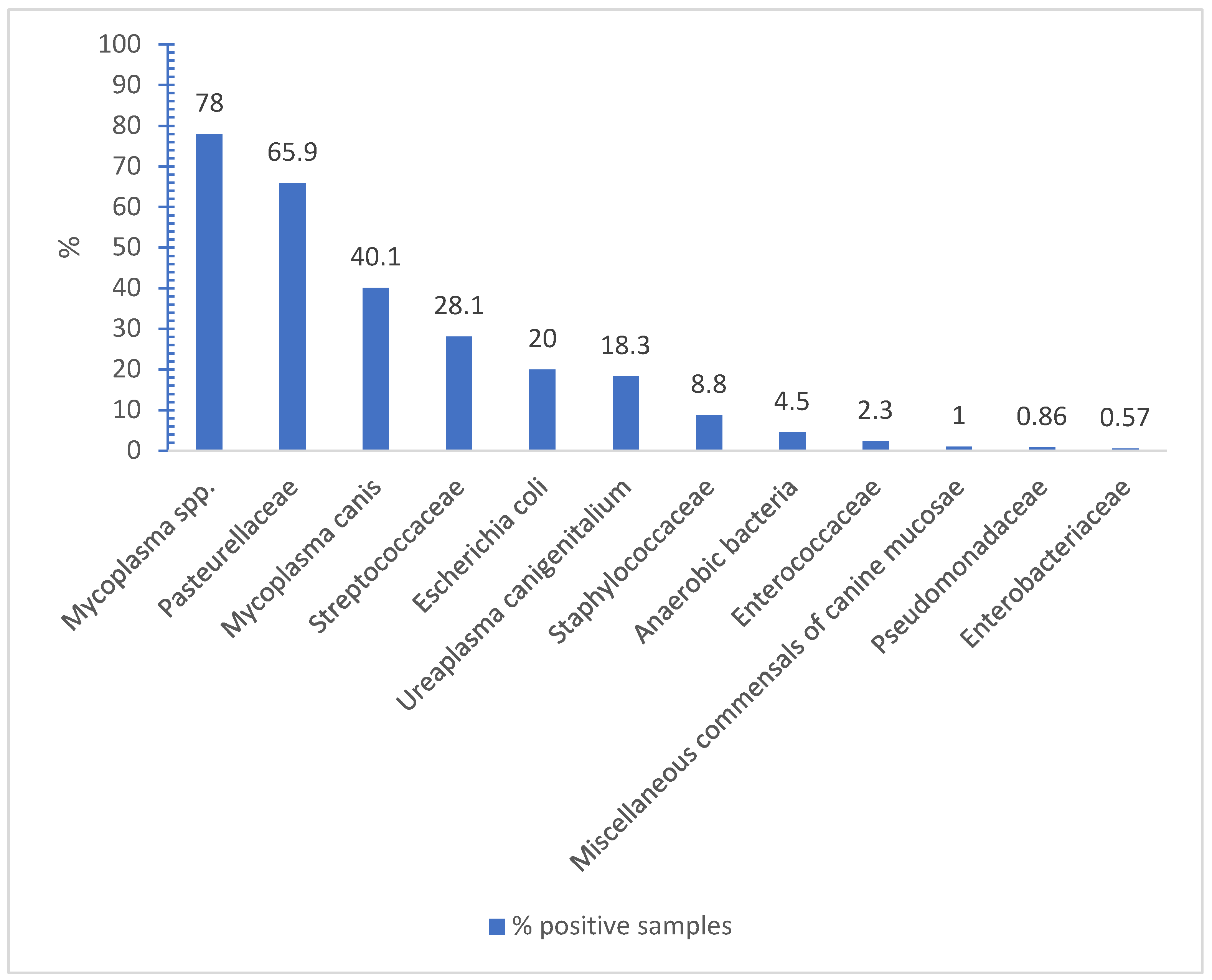 Animals 14 03460 g001