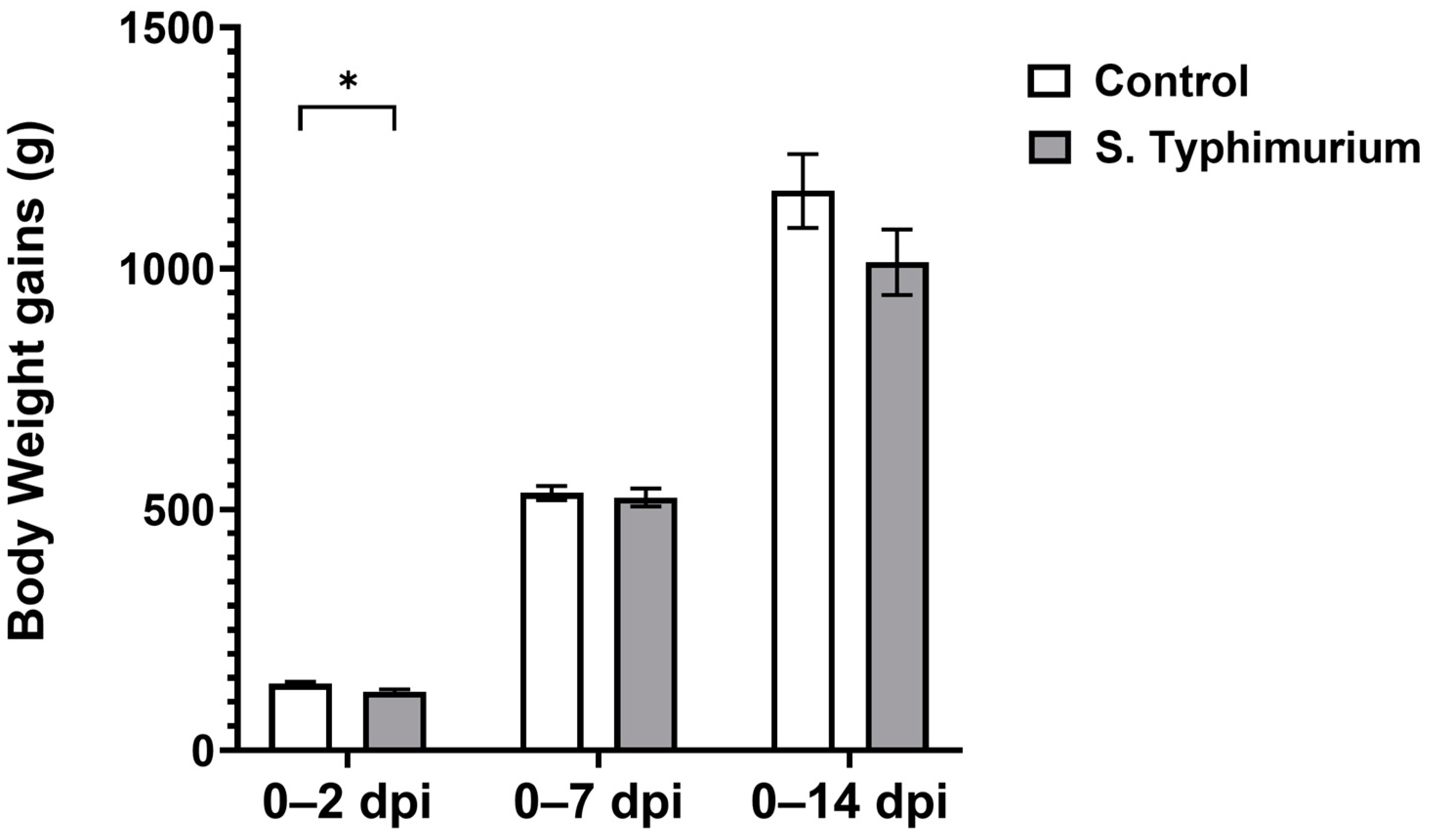 Animals 14 03463 g001