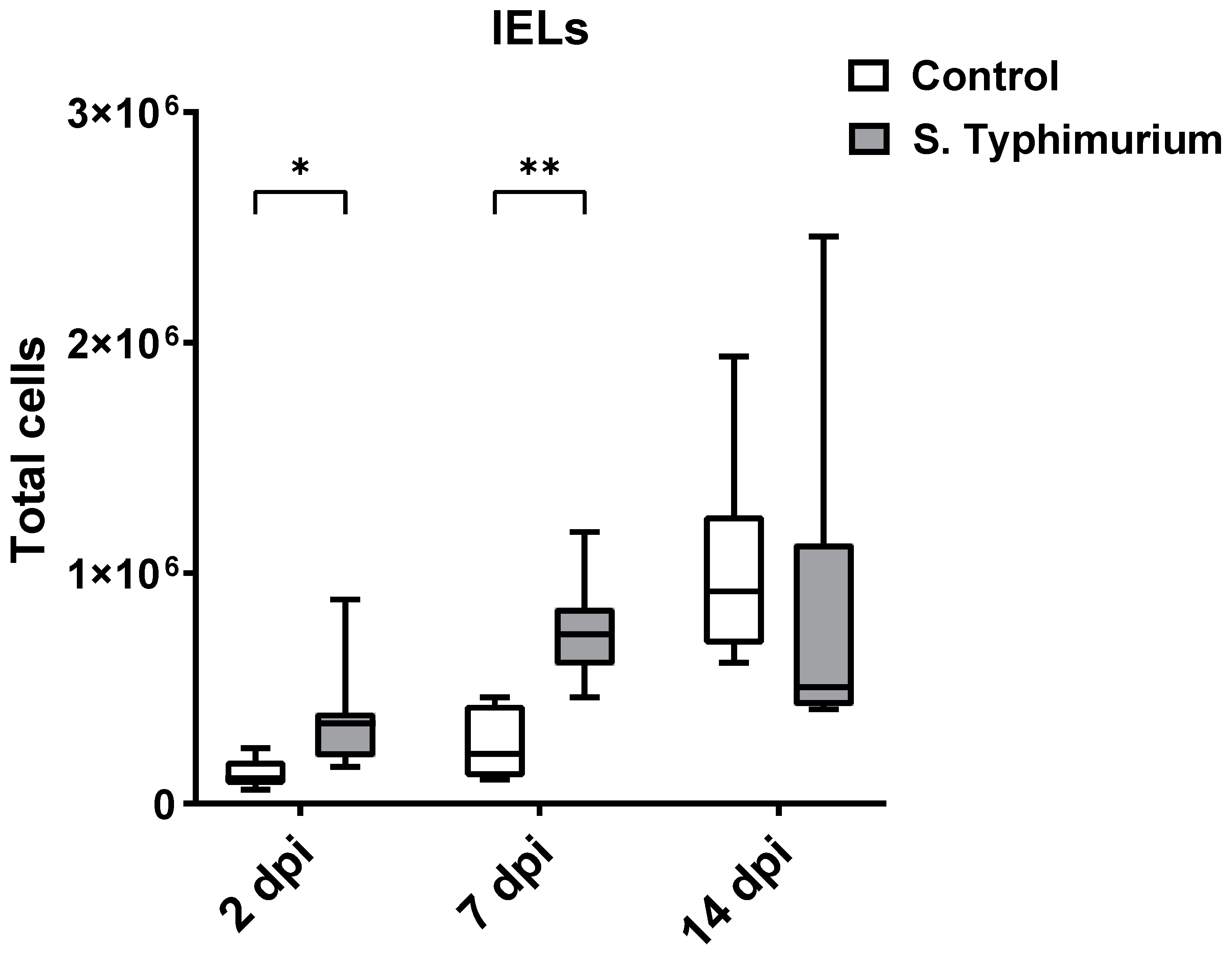 Animals 14 03463 g002