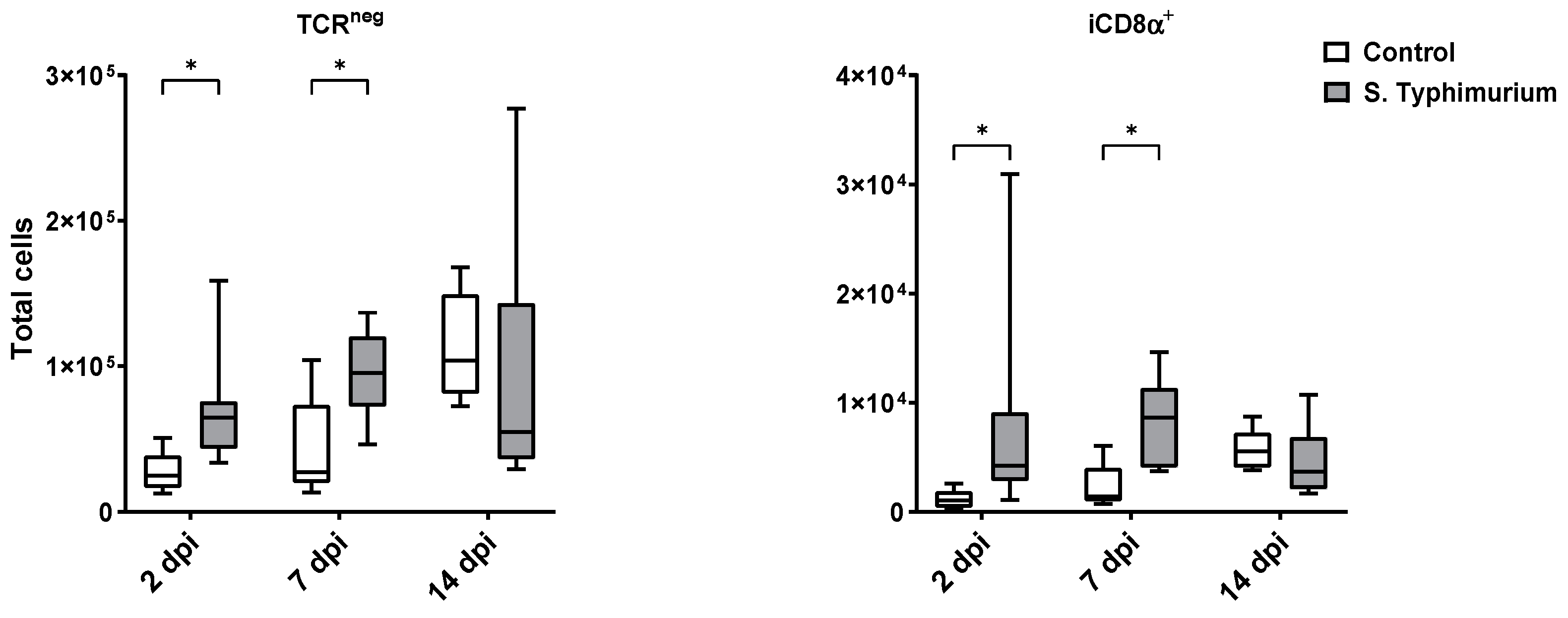 Animals 14 03463 g005