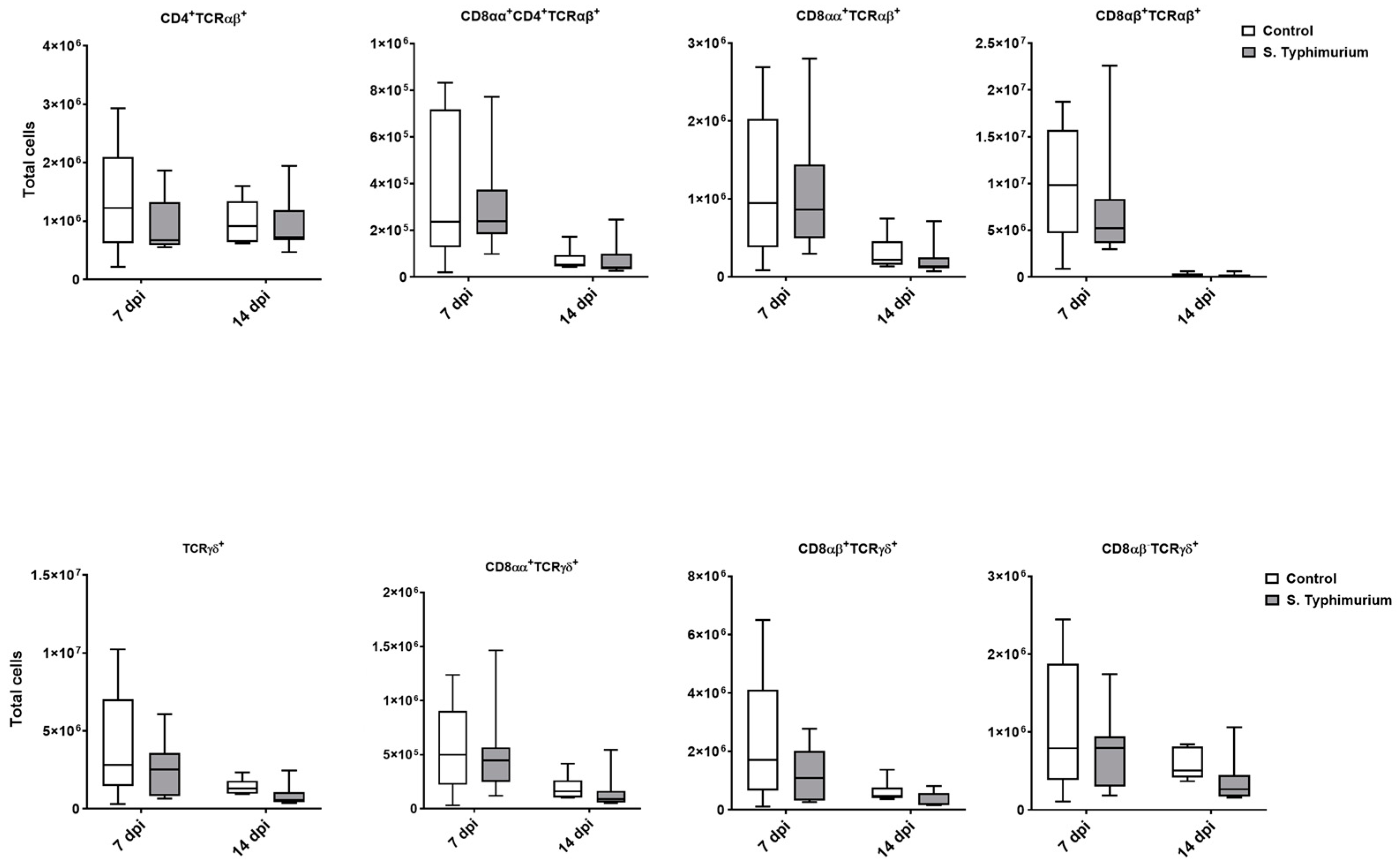 Animals 14 03463 g006