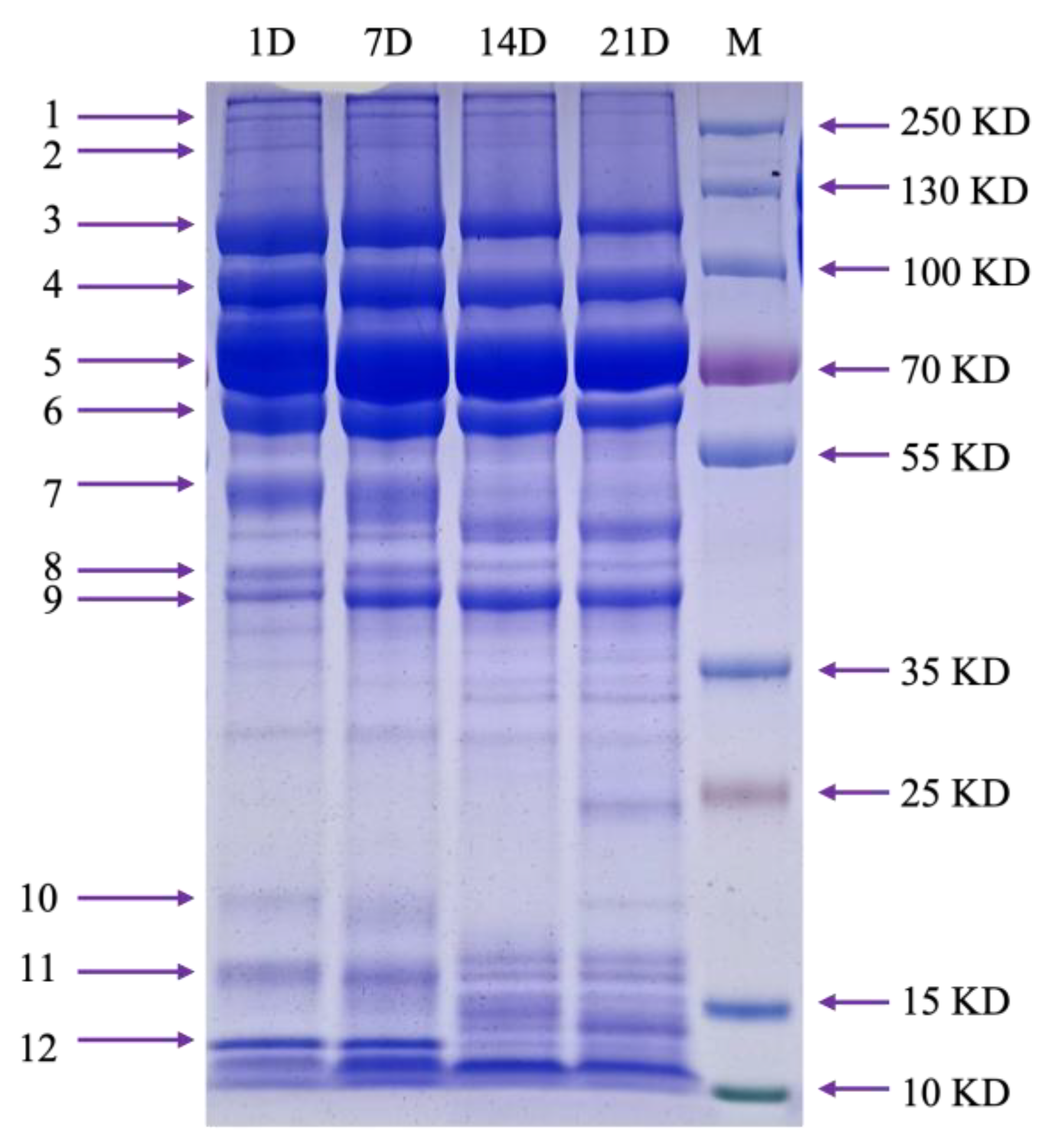 Animals 14 03466 g001