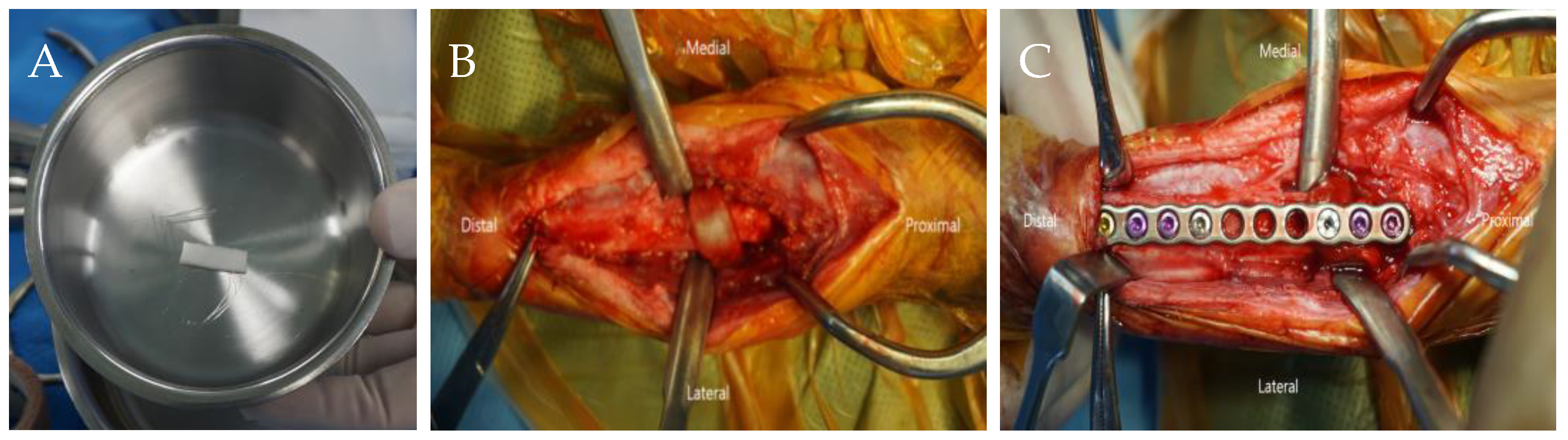 Animals 14 03480 g003