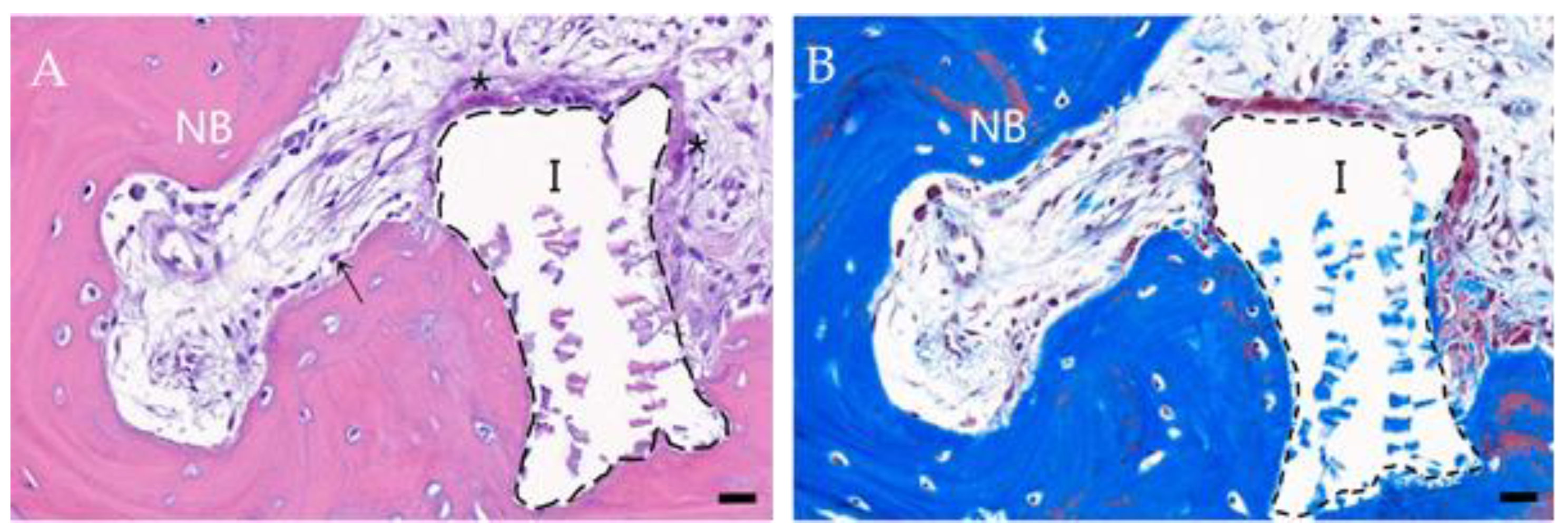 Animals 14 03480 g004