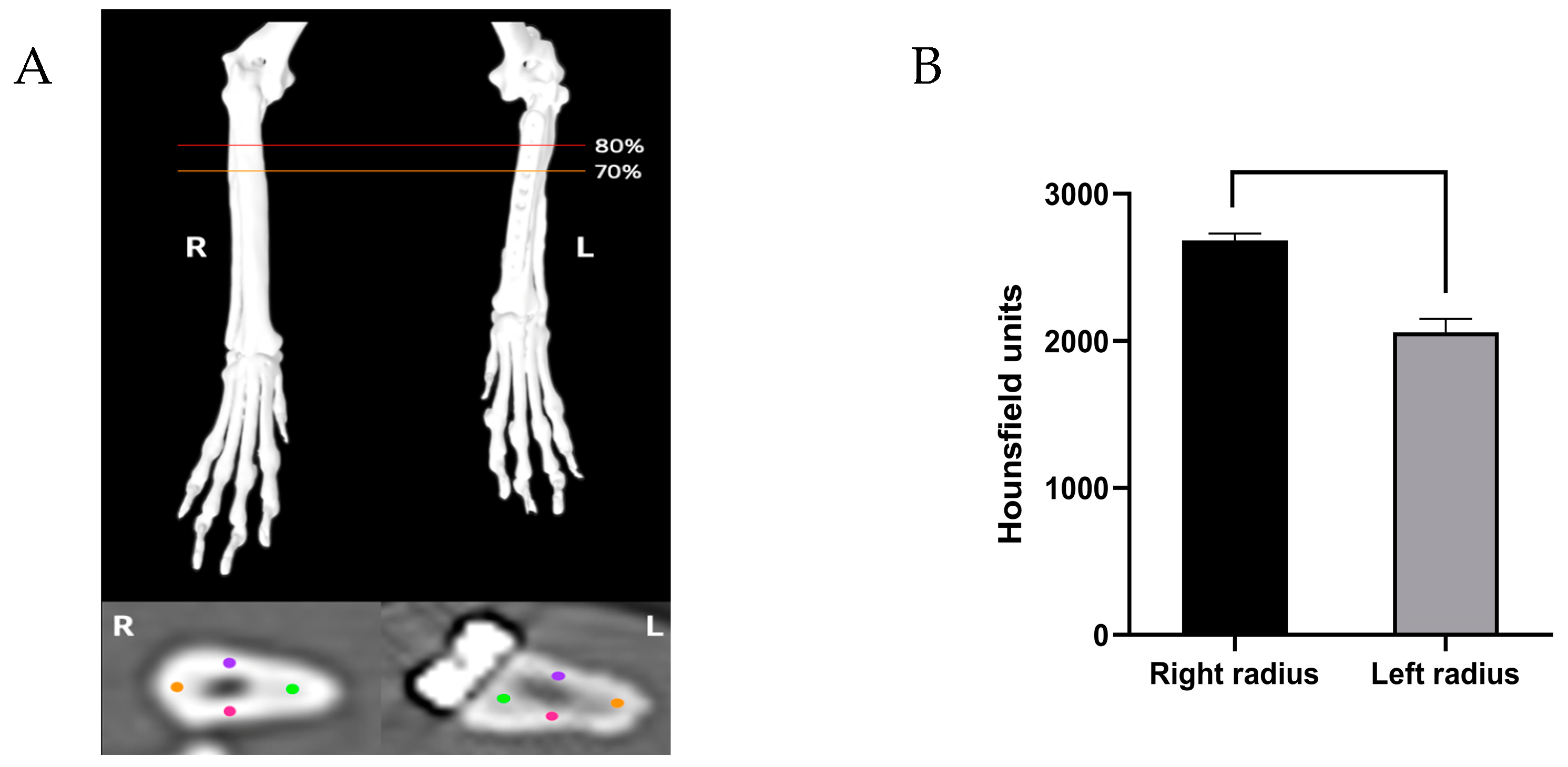 Animals 14 03480 g006