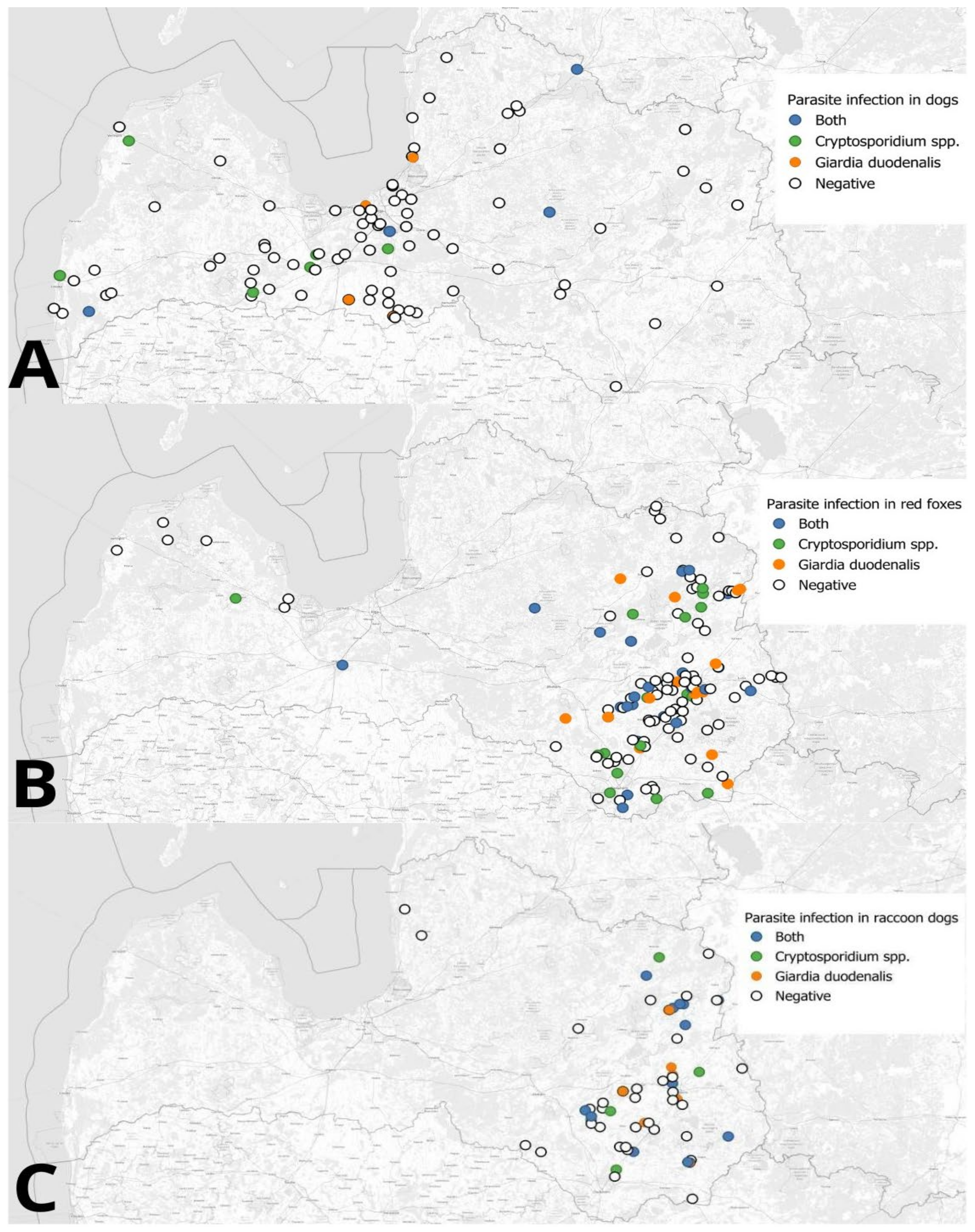 Animals 14 03484 g001