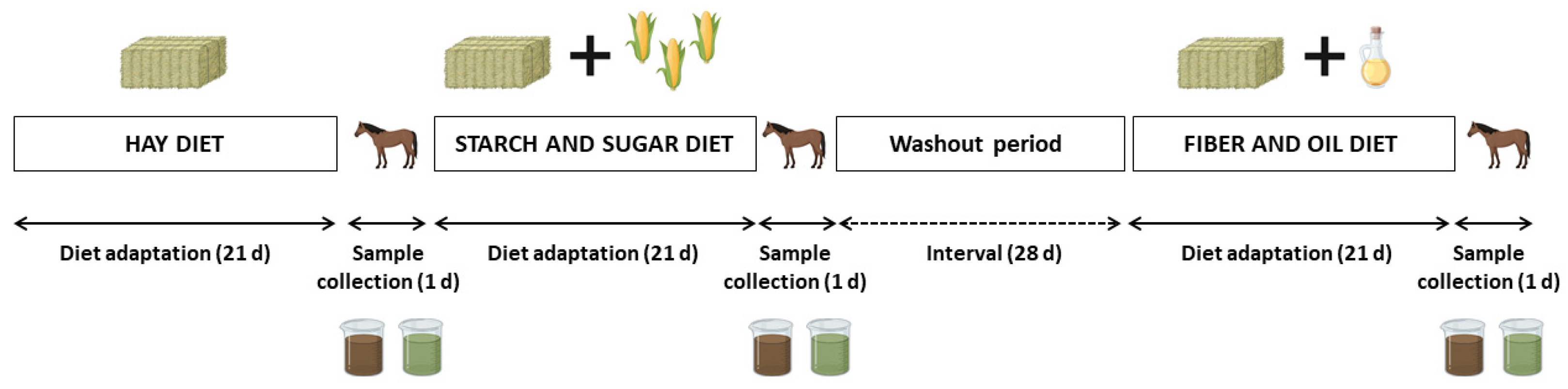 Animals 14 03494 g001