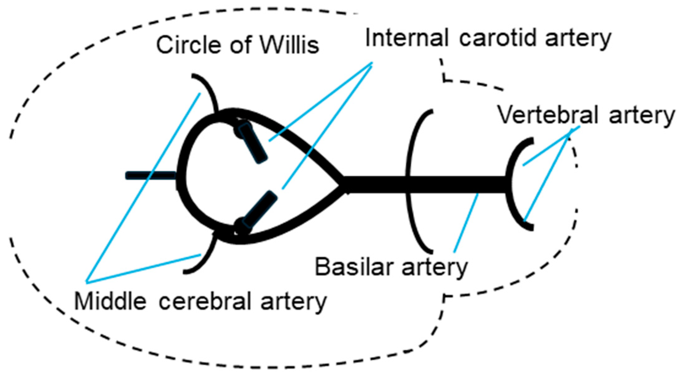 Animals 14 03500 g001