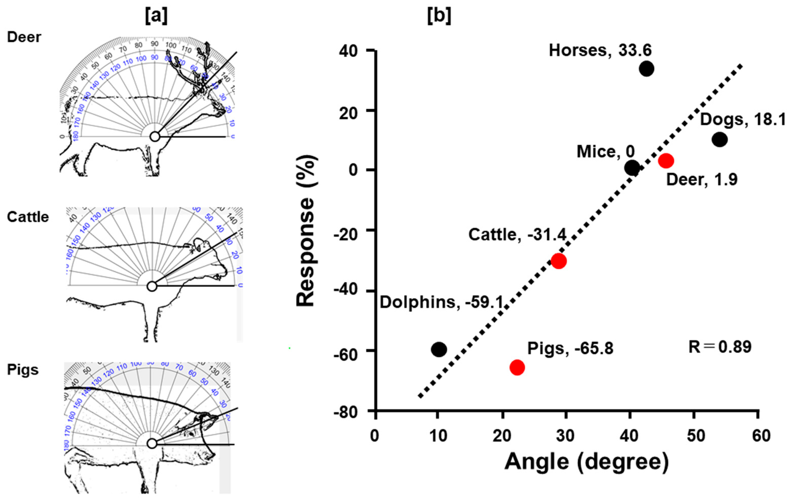 Animals 14 03500 g007