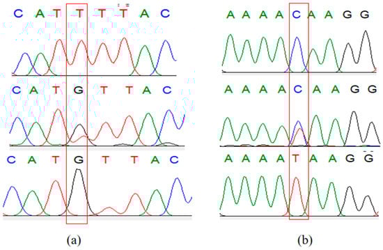 Animals 14 03506 g0a1