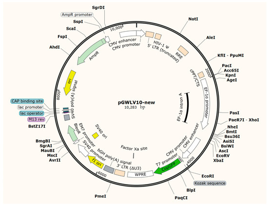 Animals 14 03541 g0a1