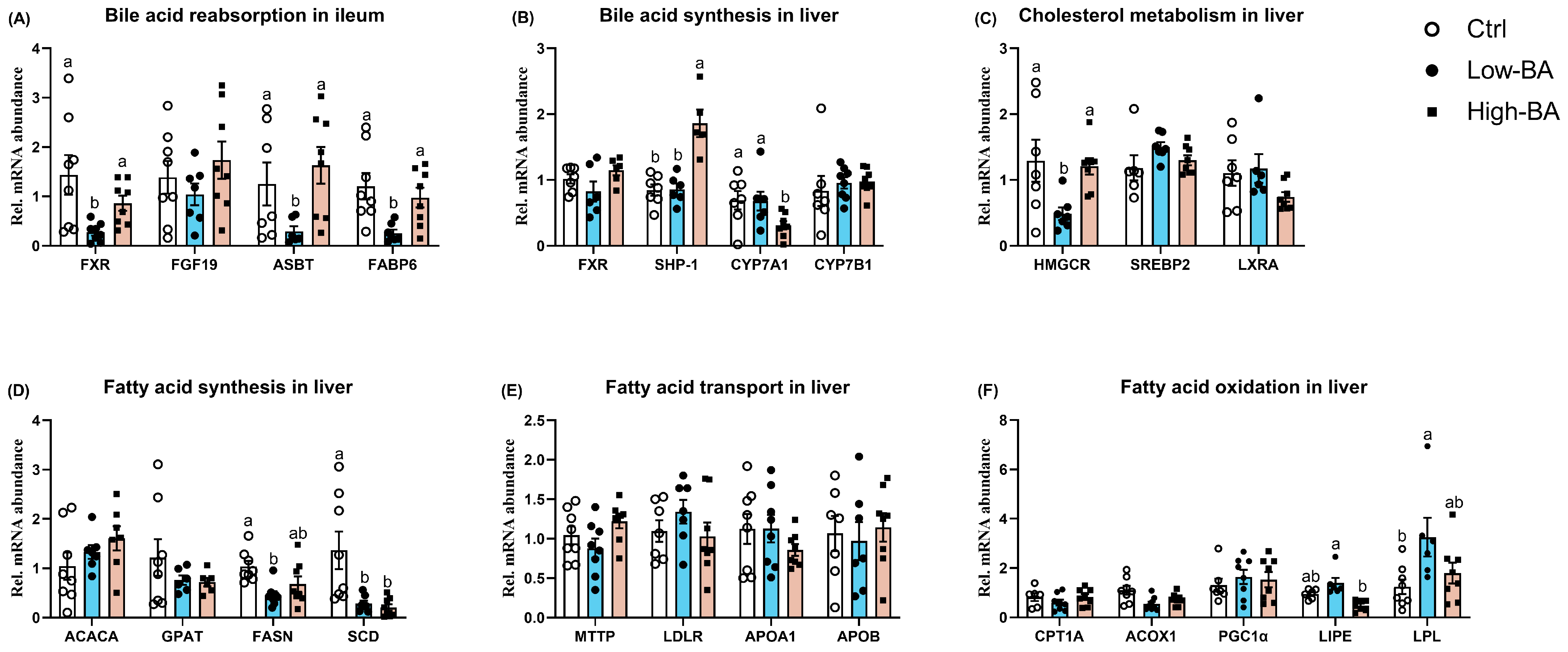 Animals 14 03554 g006