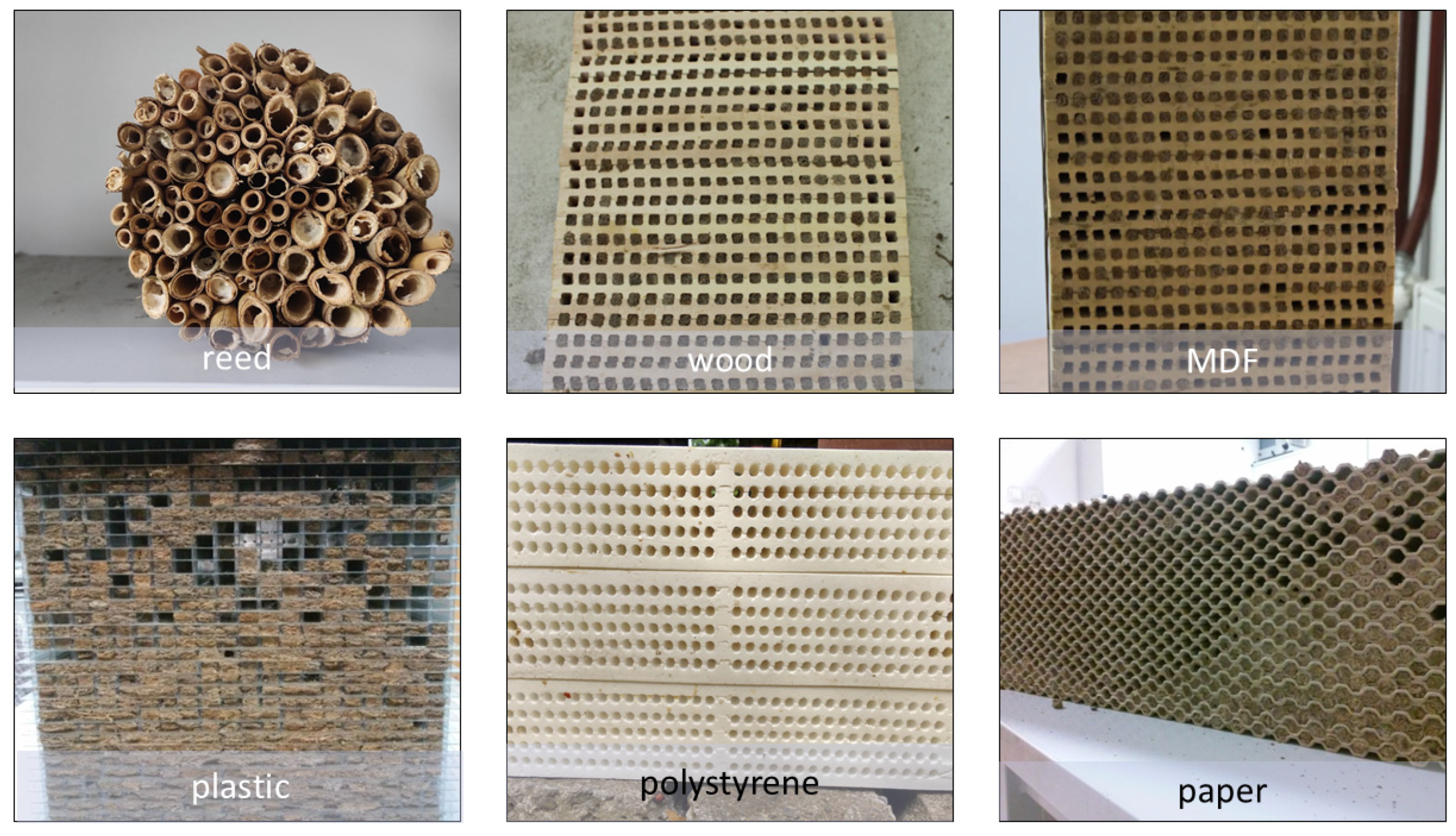 Animals 14 03600 g002