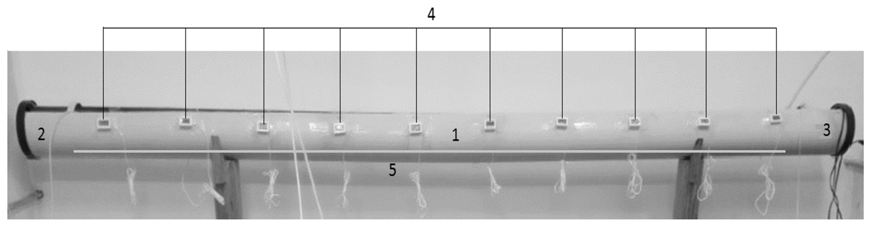 Animals 14 03613 g001