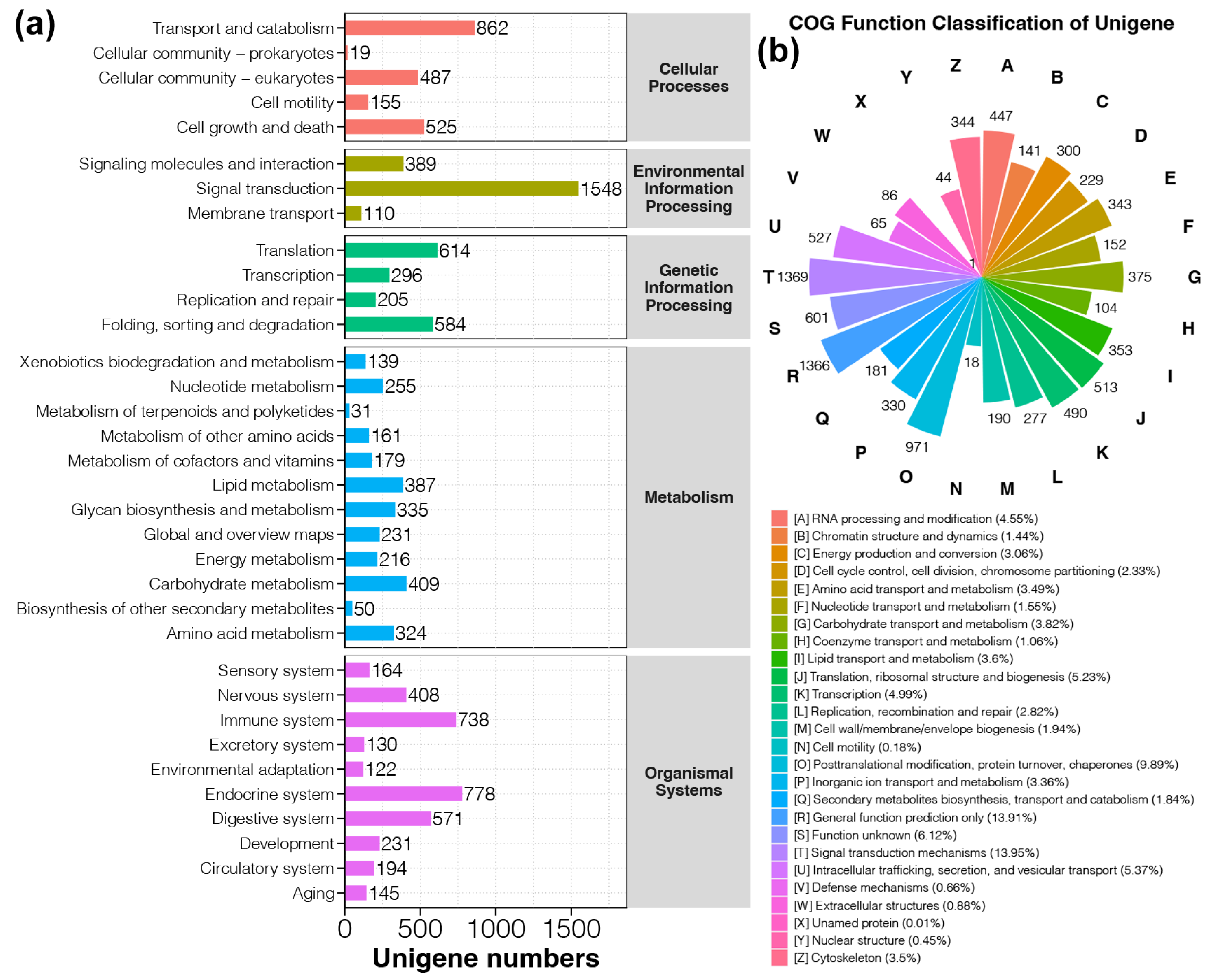 Animals 14 03618 g003