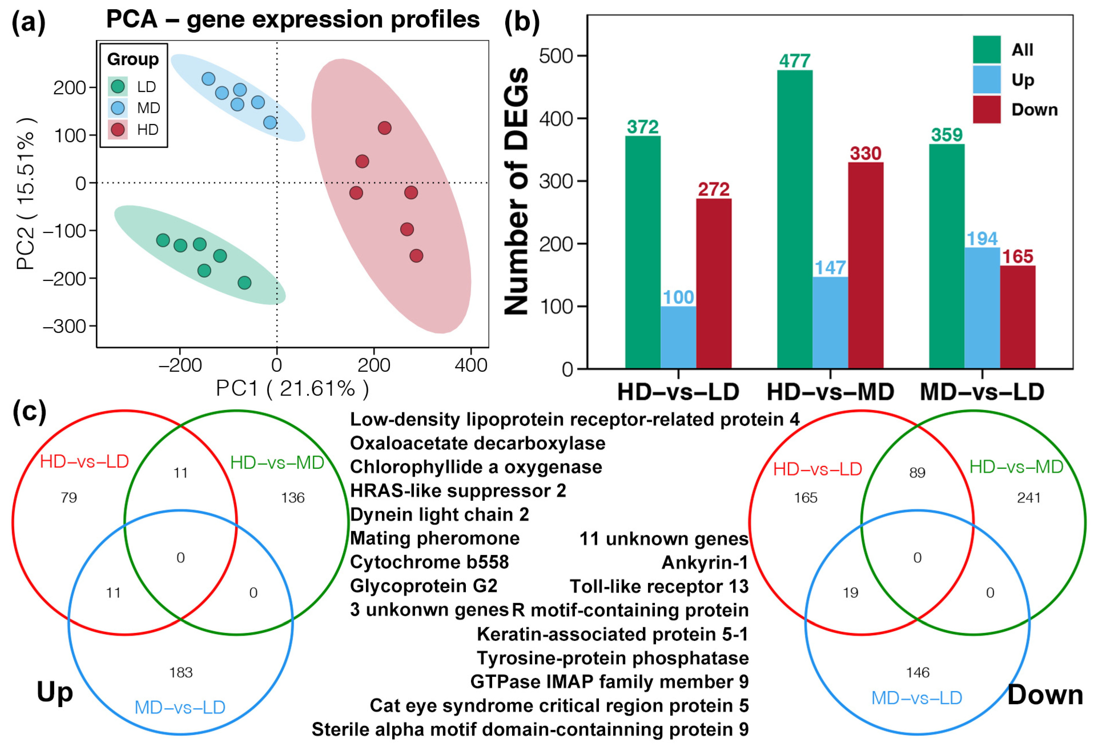 Animals 14 03618 g004