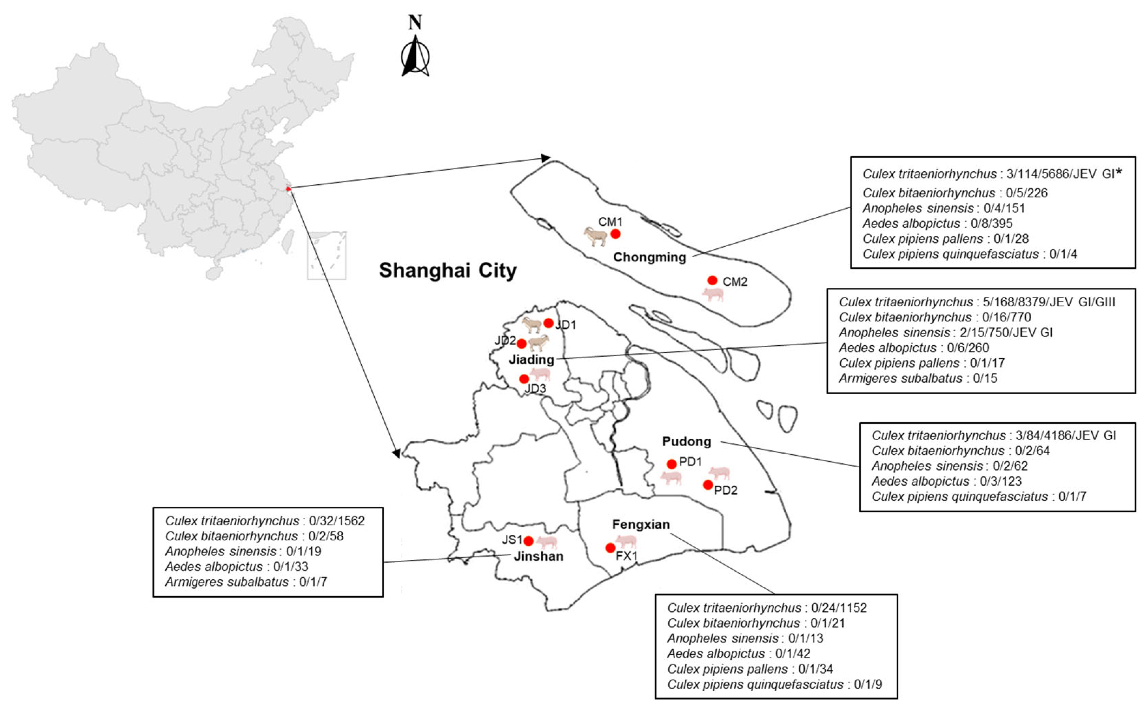 Animals 14 03653 g001