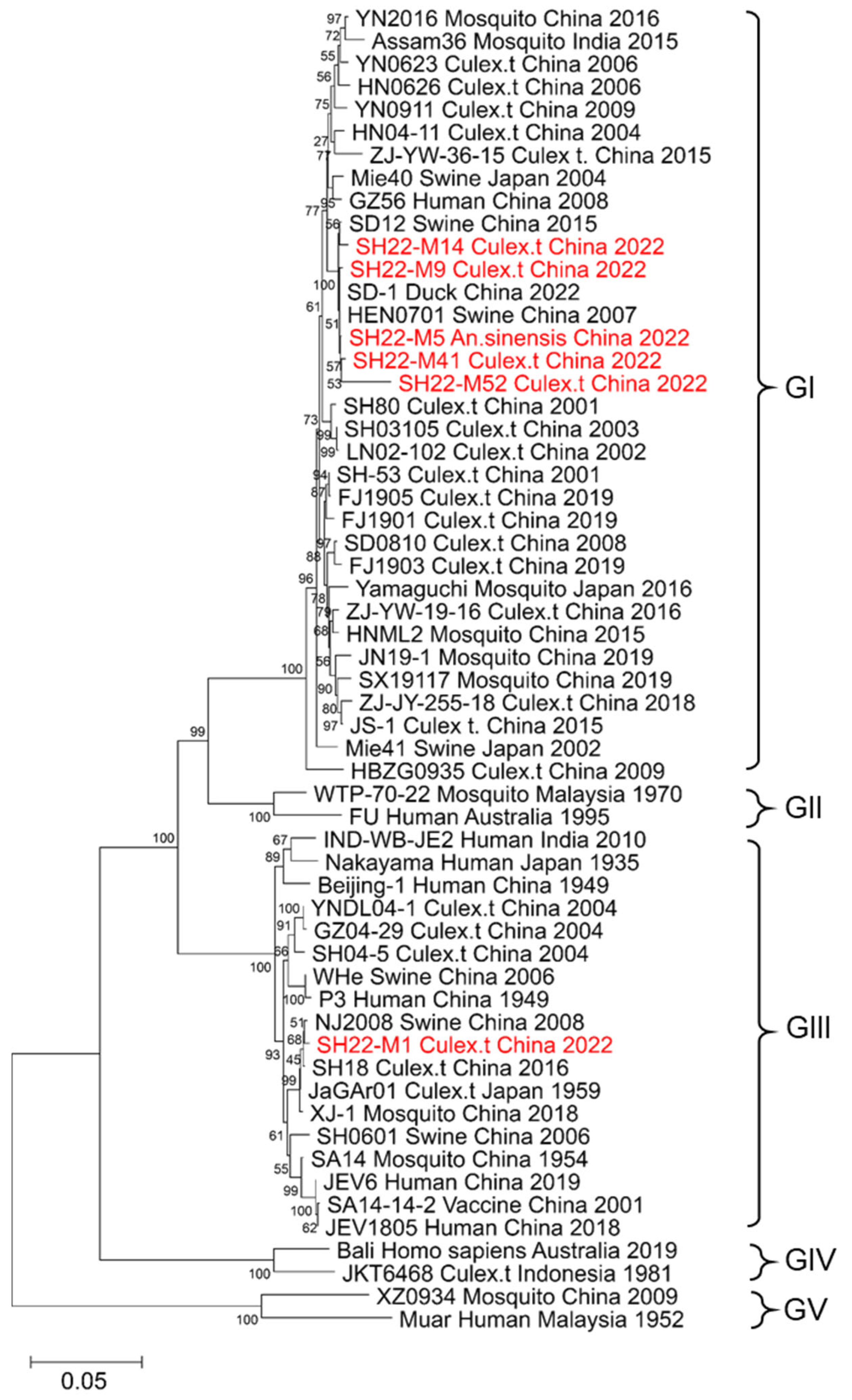 Animals 14 03653 g002