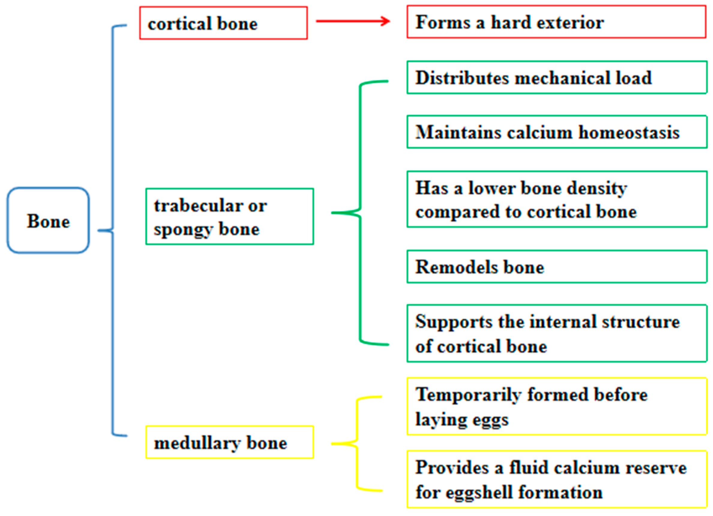 Animals 14 03655 g001
