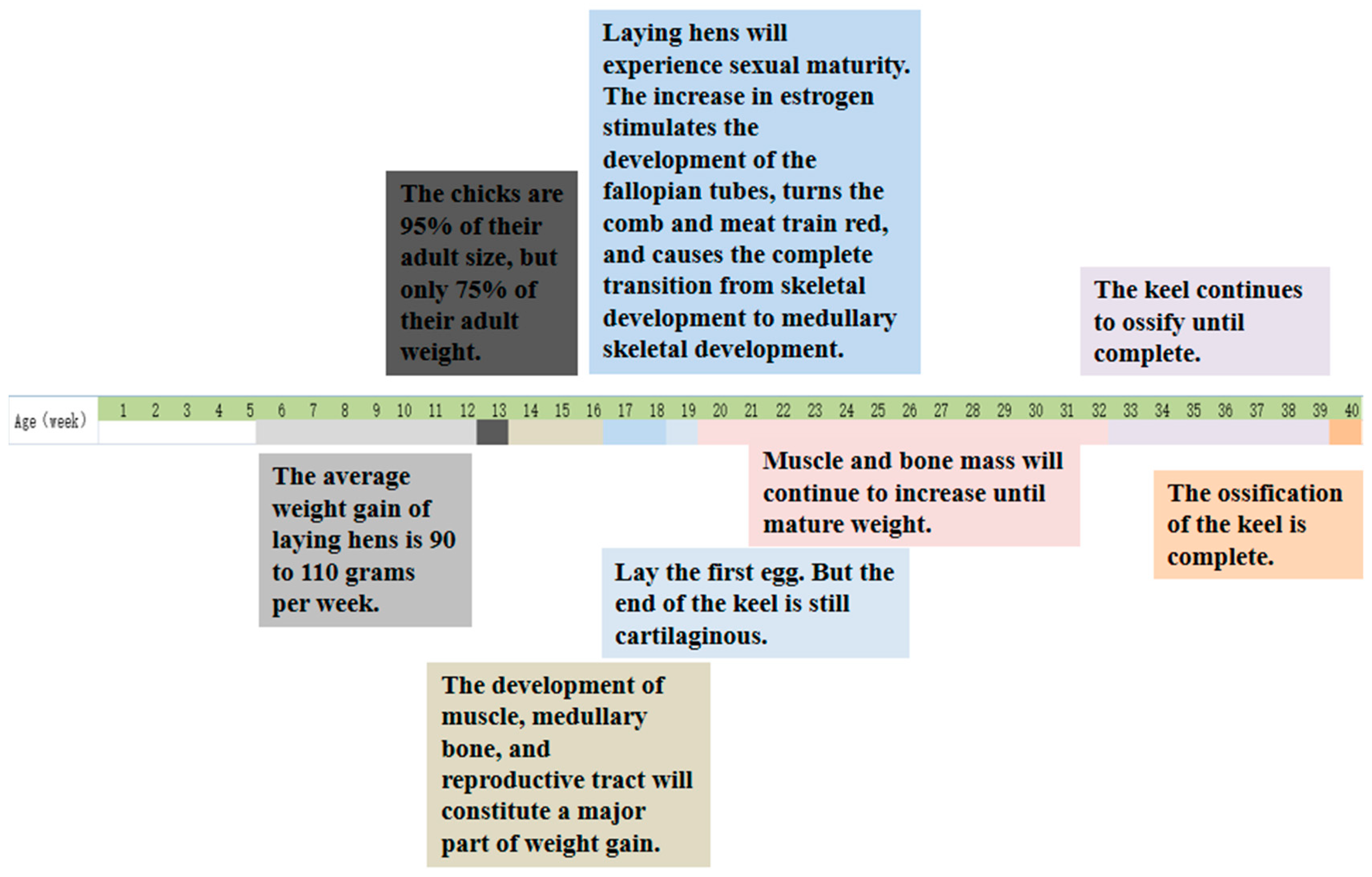 Animals 14 03655 g002