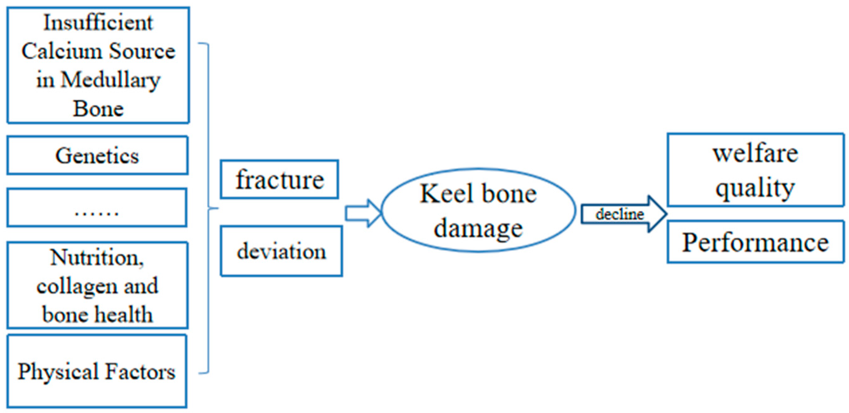 Animals 14 03655 g003