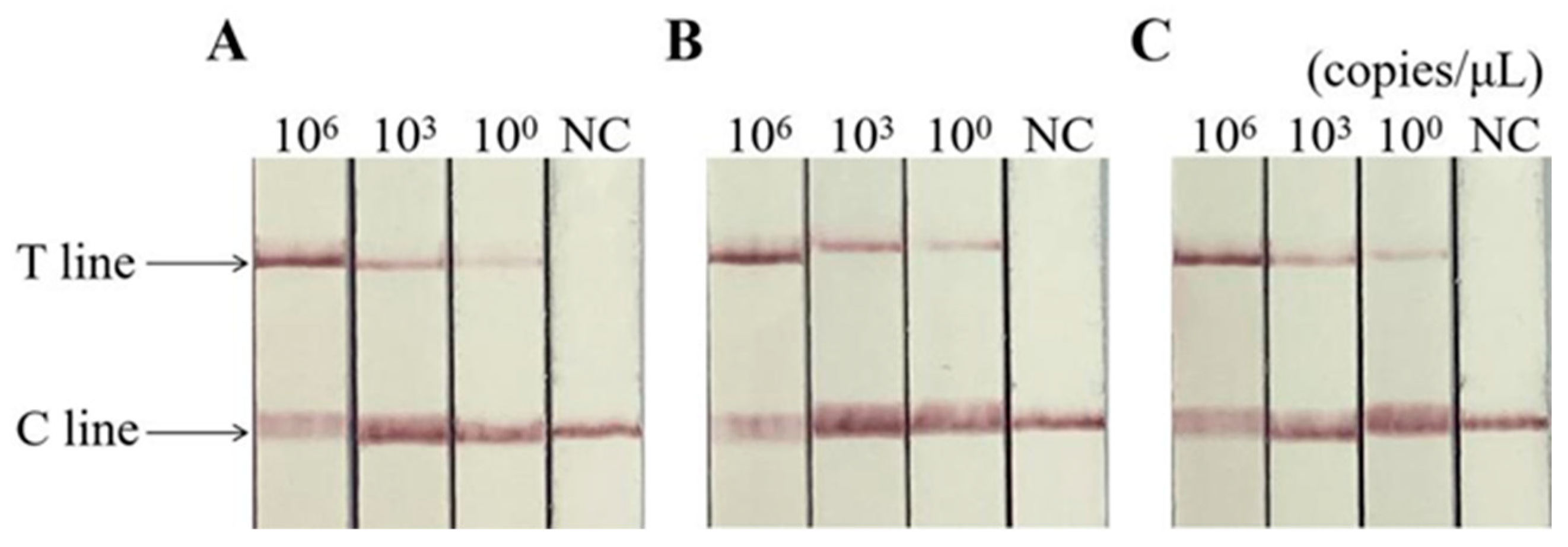 Animals 14 03663 g007