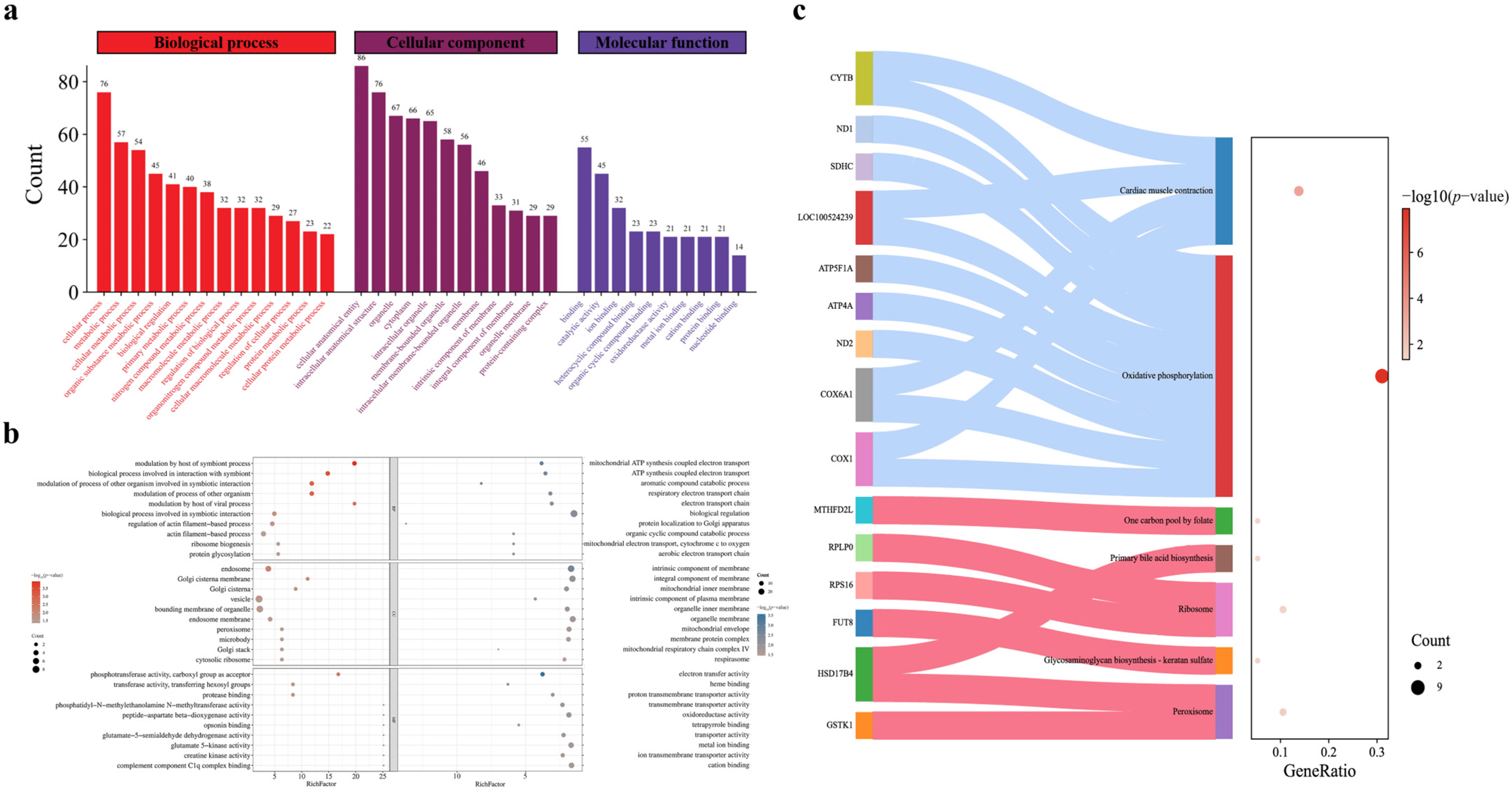 Animals 14 03672 g002