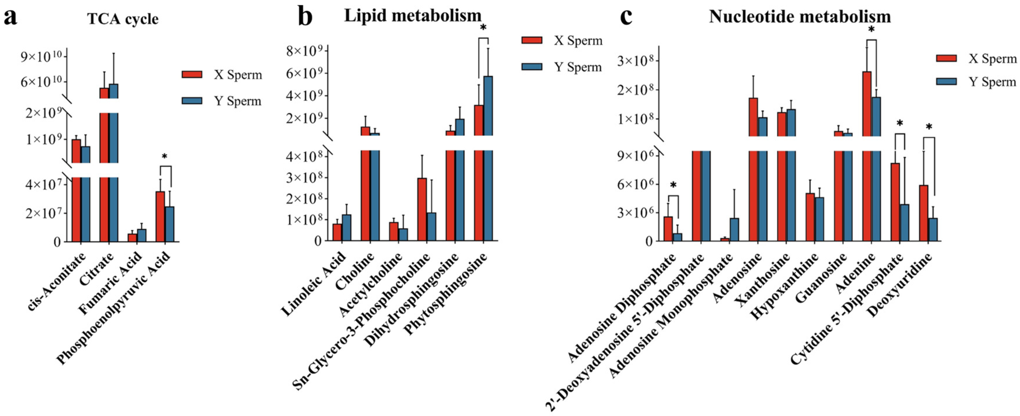 Animals 14 03672 g005